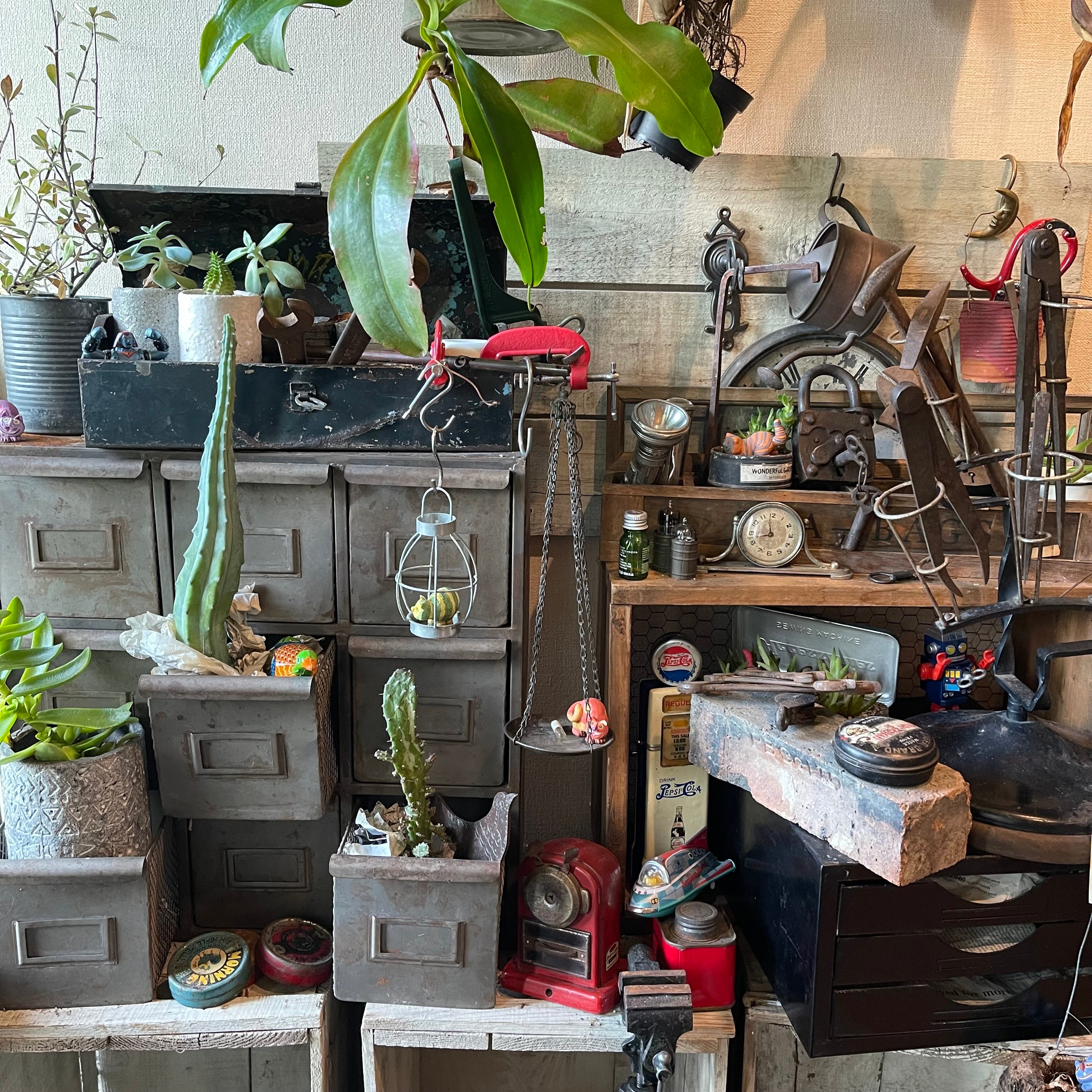 静岡県最大級 アンティークと多肉植物の祭典 『Old Treasure』を開催