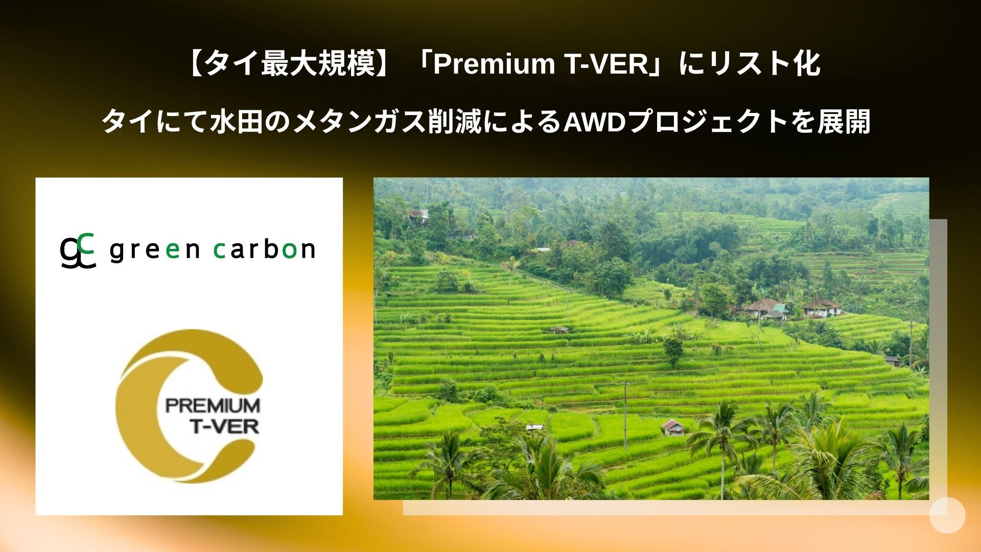 Awd Project Rice 【タイ最大規模】Green Carbon株式会社が展開する水田のメタンガス削減によるAWDプロジェクトがタイのボランタリークレジット制度 ...
