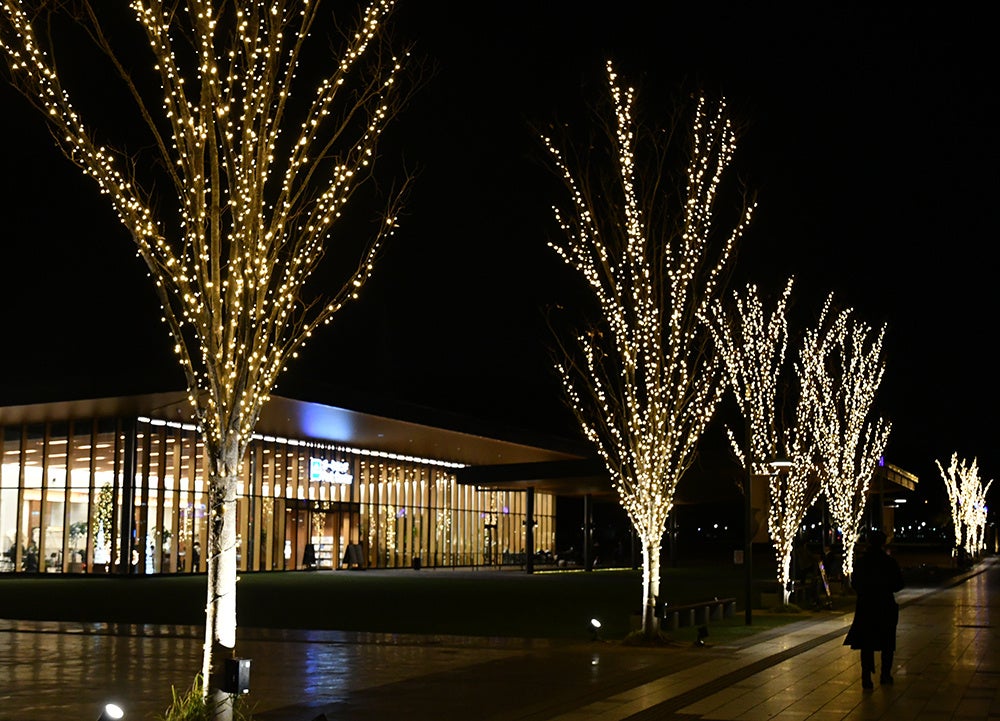 高槻市の安満遺跡公園で7万球のLEDイルミネーションが開催中！