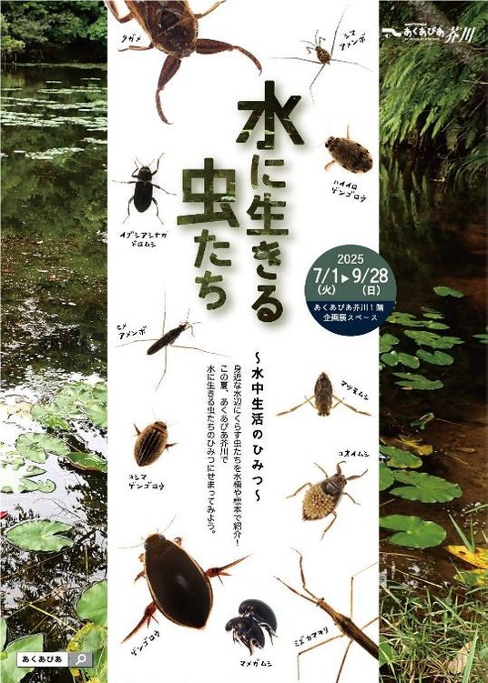 水中で生活する虫たちの呼吸方法や暮らし方をじっくり学べる企画展を高槻市で開催 水中で生活する虫たちの呼吸方法や暮らし方をじっくり学べる企画展を高槻市で開催