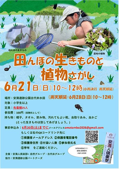安満遺跡公園の古代米水田で生き物探し 安満遺跡公園の古代米水田で生き物探し