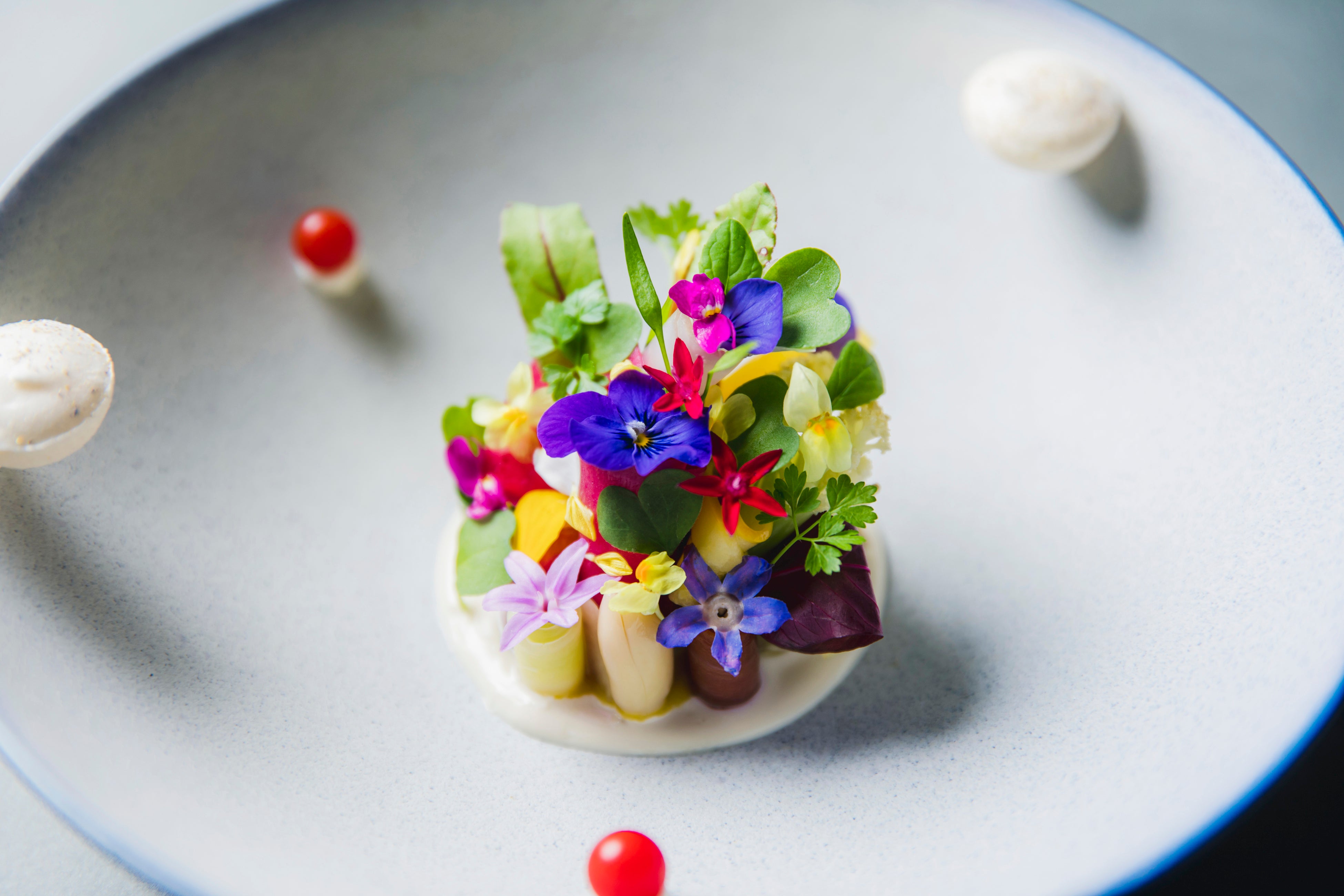 秋野菜  千代豆腐店 極上豆乳