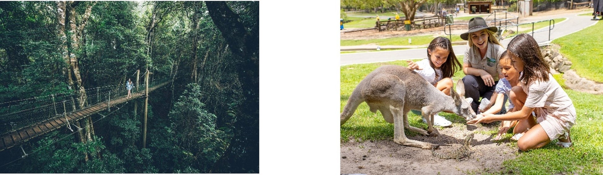 左:ラミントン国立公園 右:カランビン・ワイルドライフ・サンクチュアリ