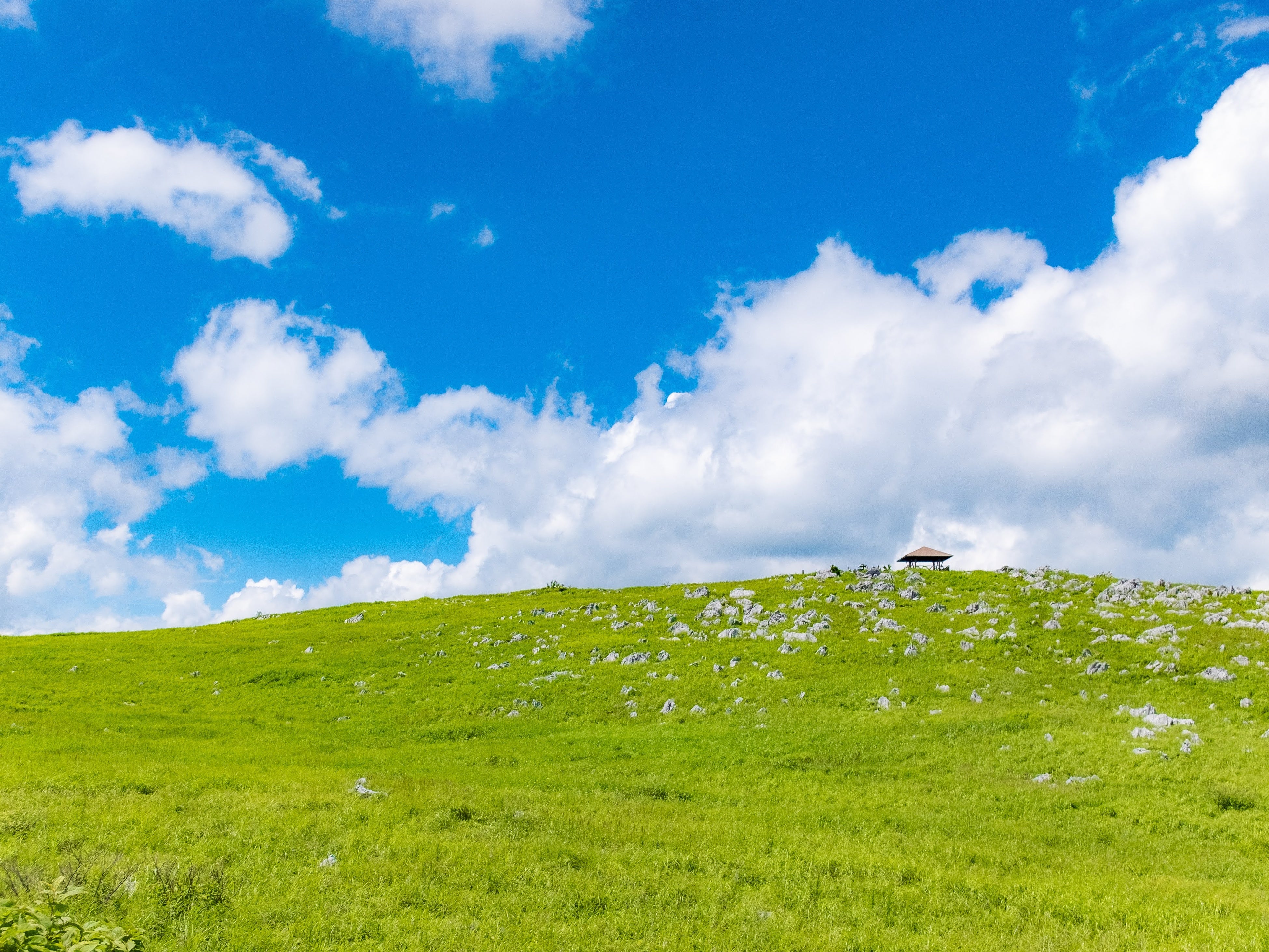 四国カルスト天狗高原