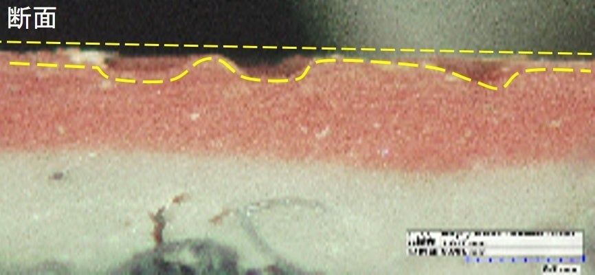 ナノフィニッシュ（開発時）断面図