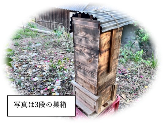 5月2日(土)倉敷市玉島でニホンミツバチを守る巣箱づくりワークショップを開催 5月2日(土)倉敷市玉島でニホンミツバチを守る巣箱づくりワークショップを開催