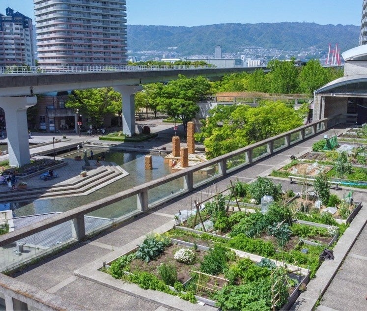 神戸市のアーバンファーミング第1号モデルとして人気のオーガニック農園「シェラトンファーム」。六甲山系を臨み都会の中で土に触れる機会をもつことが出来ます