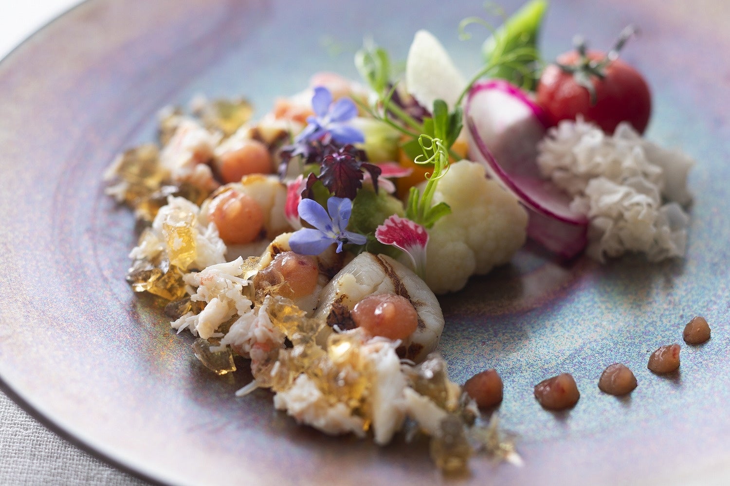 ダイニング「Kobe Grill」ホタテ貝のグリユ 香住蟹と但馬の赤酢 紅玉とカブラ