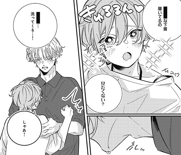 11/4発売】大人気！守備攻×攻撃受バカップル第2巻 BLコミック『今夜