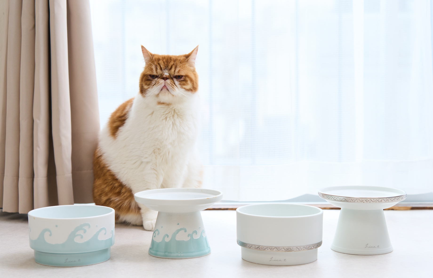 愛猫ちゃん、愛犬ちゃんに高級素材、檜の贅沢な食事台はいかがでしょうか？　日本製 愛猫ちゃん、愛犬ちゃんに高級素材、檜の贅沢な食事台はいかがでしょ