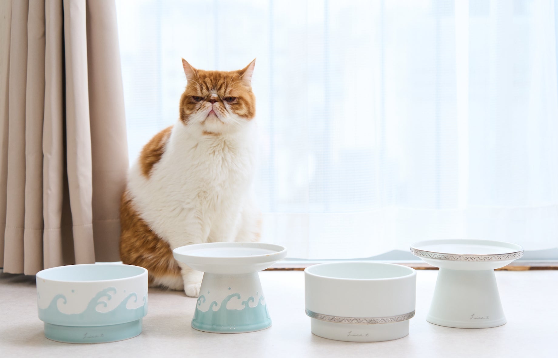 愛猫ちゃん、愛犬ちゃんに高級素材、檜の贅沢な食事台はいかがでしょ 愛猫ちゃん、愛犬ちゃんに高級素材、檜の贅沢な食事台はいかがでしょ