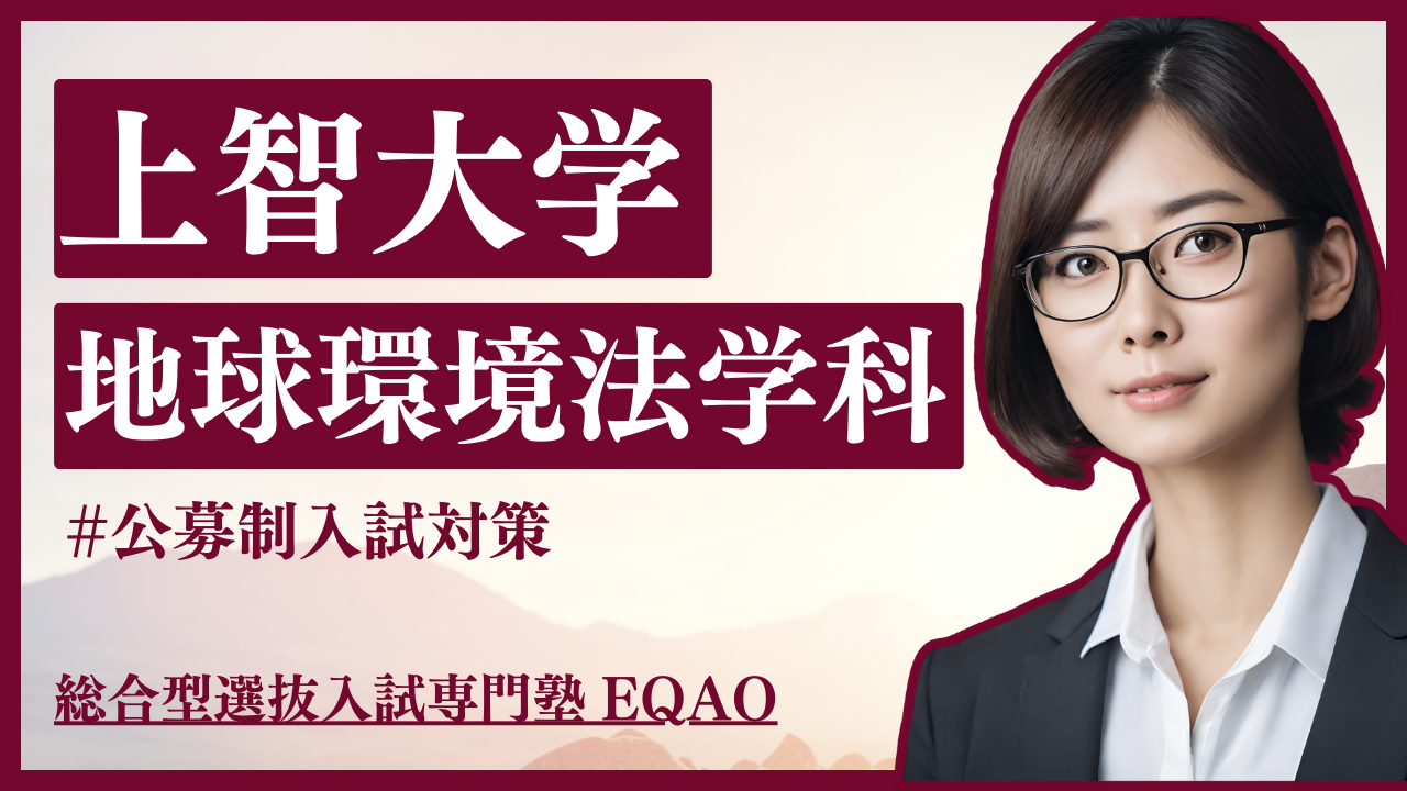 上智大学(総合人間科学部〈社会学科〉・法学部〈法律学科・地球環境法学科〉・経済… 118323-96-