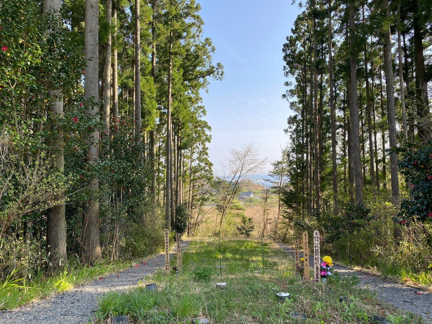 地方協力寺院の樹木葬（清涼院）