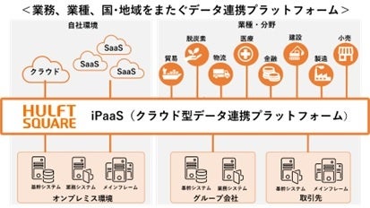 CALCULATION&STRATEGIC PLAY まとめ売り 2E相当 スケッチャーズ レディース スリップインズ:サミッツ