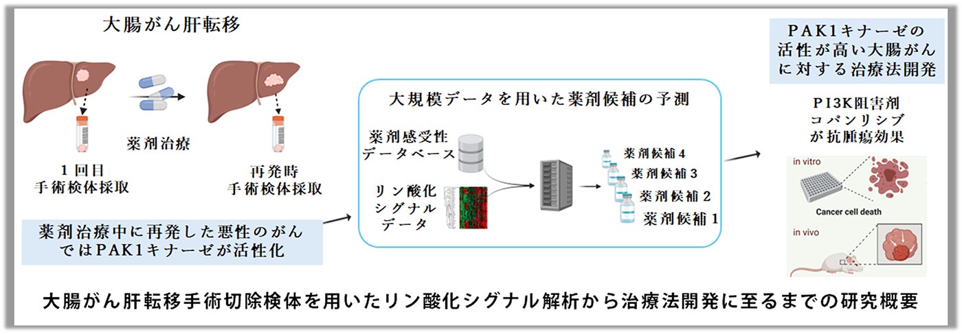 今まで根本的な治療法のなかった悪性度の高い大腸がん肝転移の新たな 今まで根本的な治療法のなかった悪性度の高い大腸がん肝転移の新たな