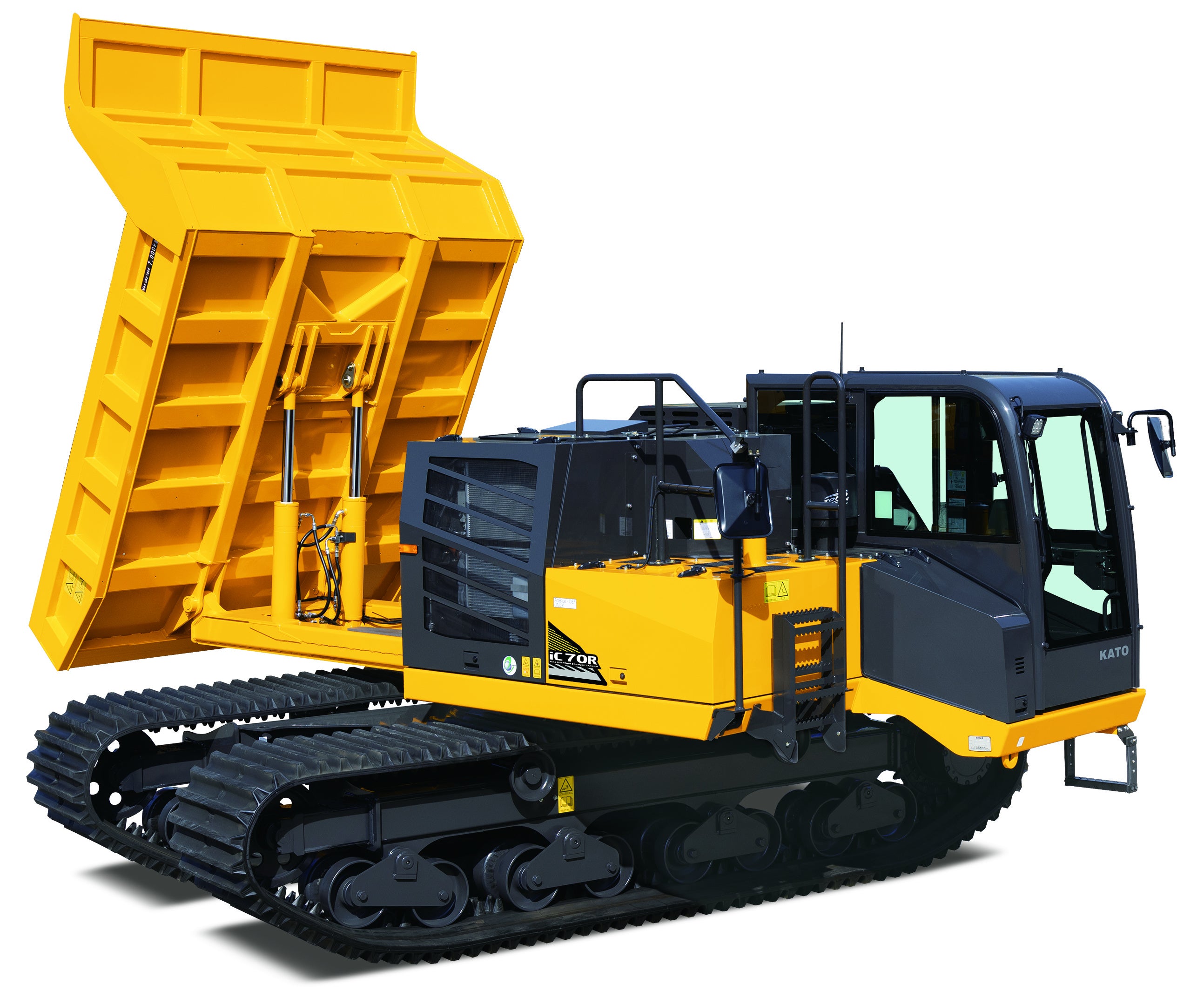 と*ん様 2024実生&貴重クローン　4センチポット 2024実生苗セットi⚠️ 4センチポット 2024実生苗セットp 4センチ