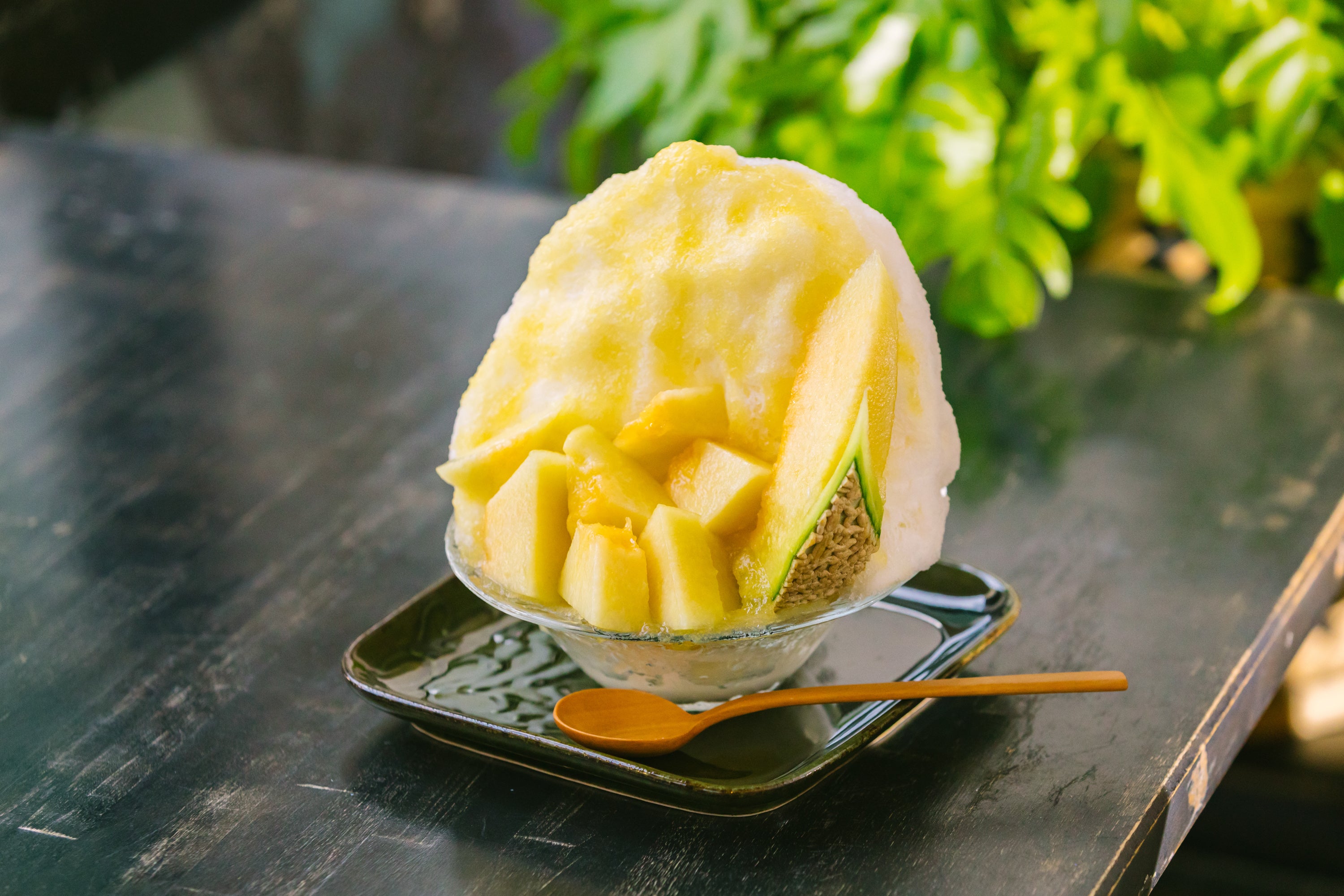 緑くま［マスクメロン］