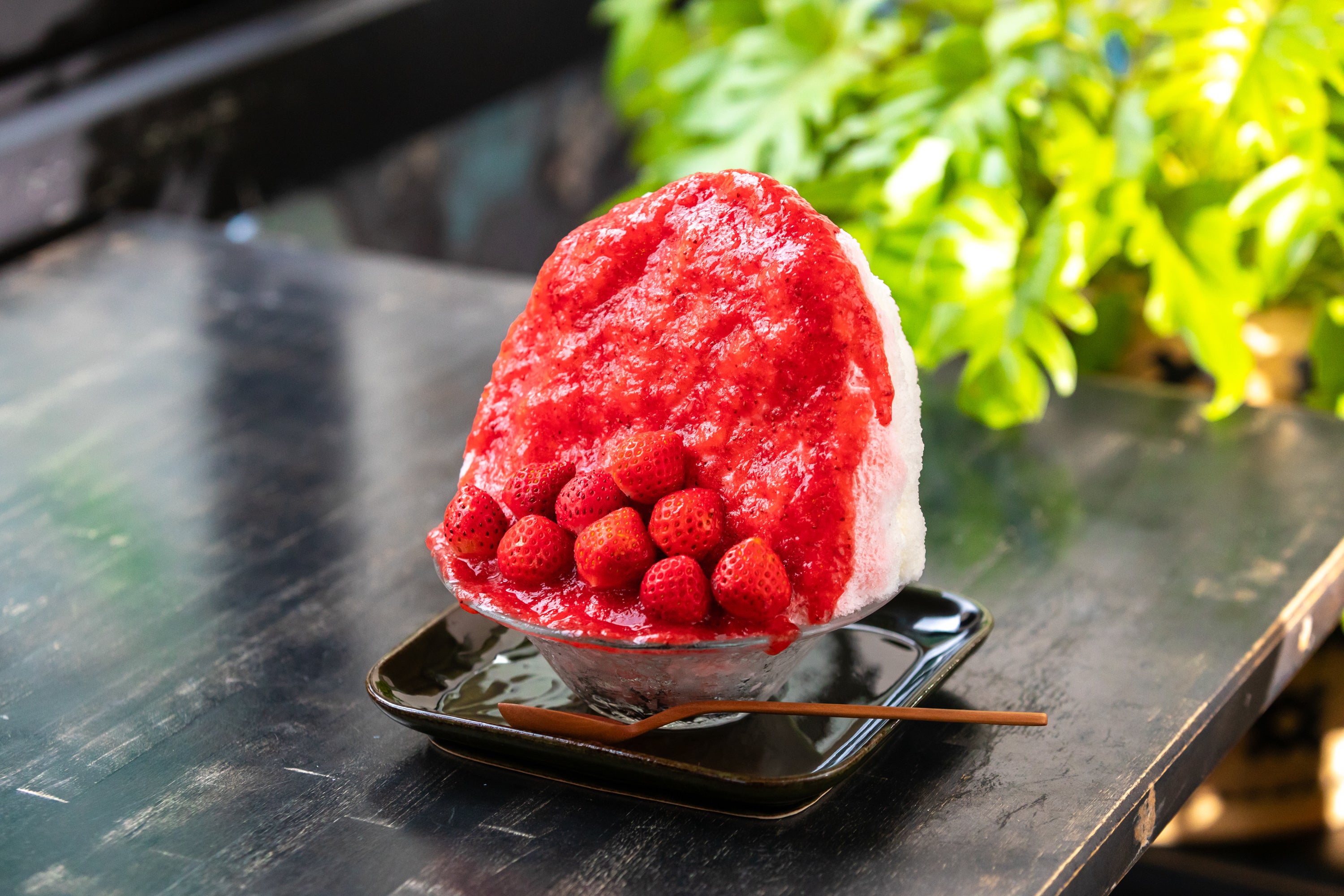 赤くま［いちご］