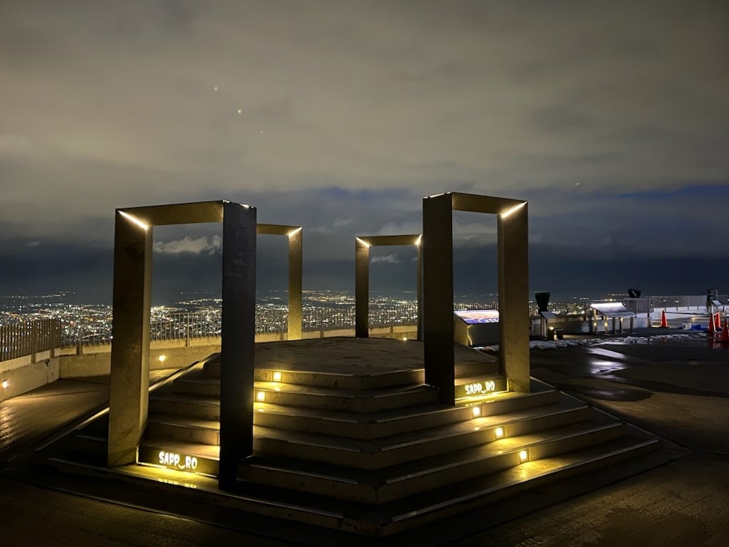 夜間の姿