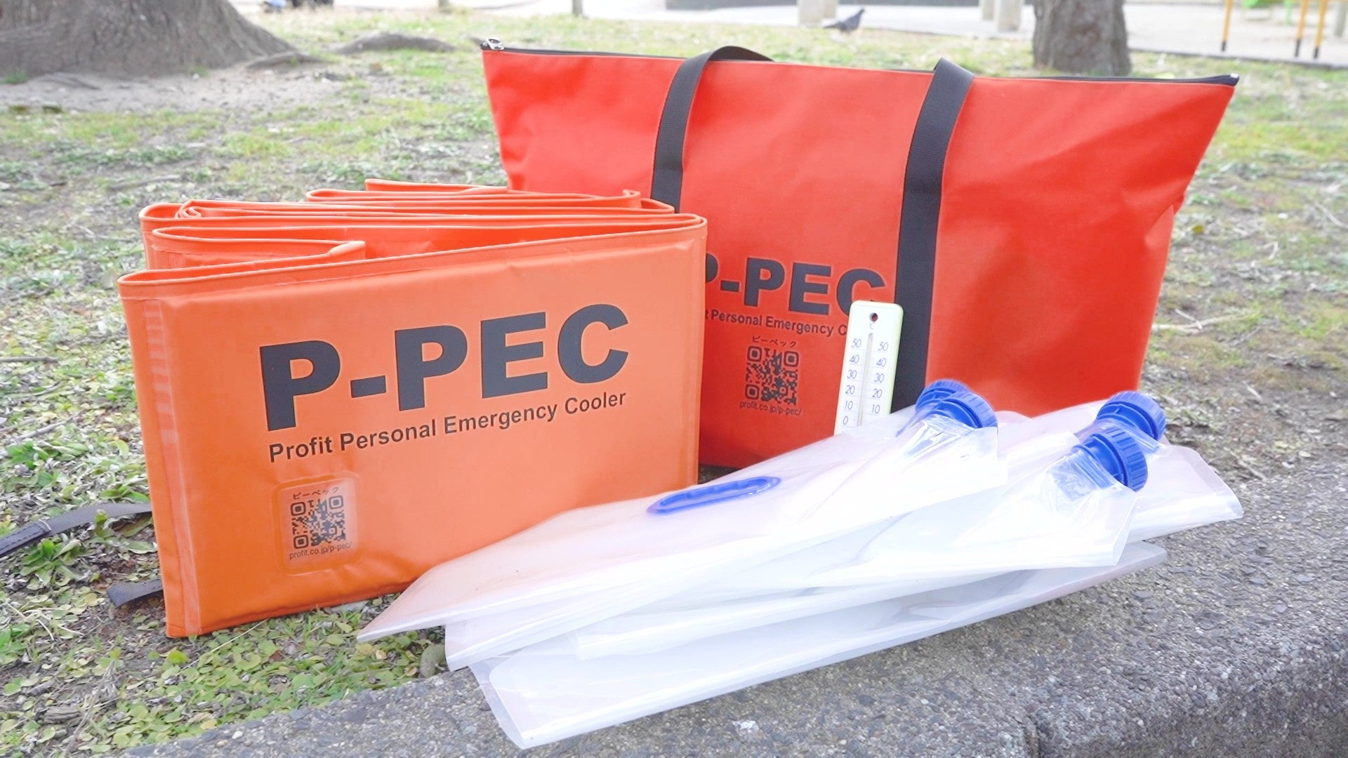 P-PECセット内容