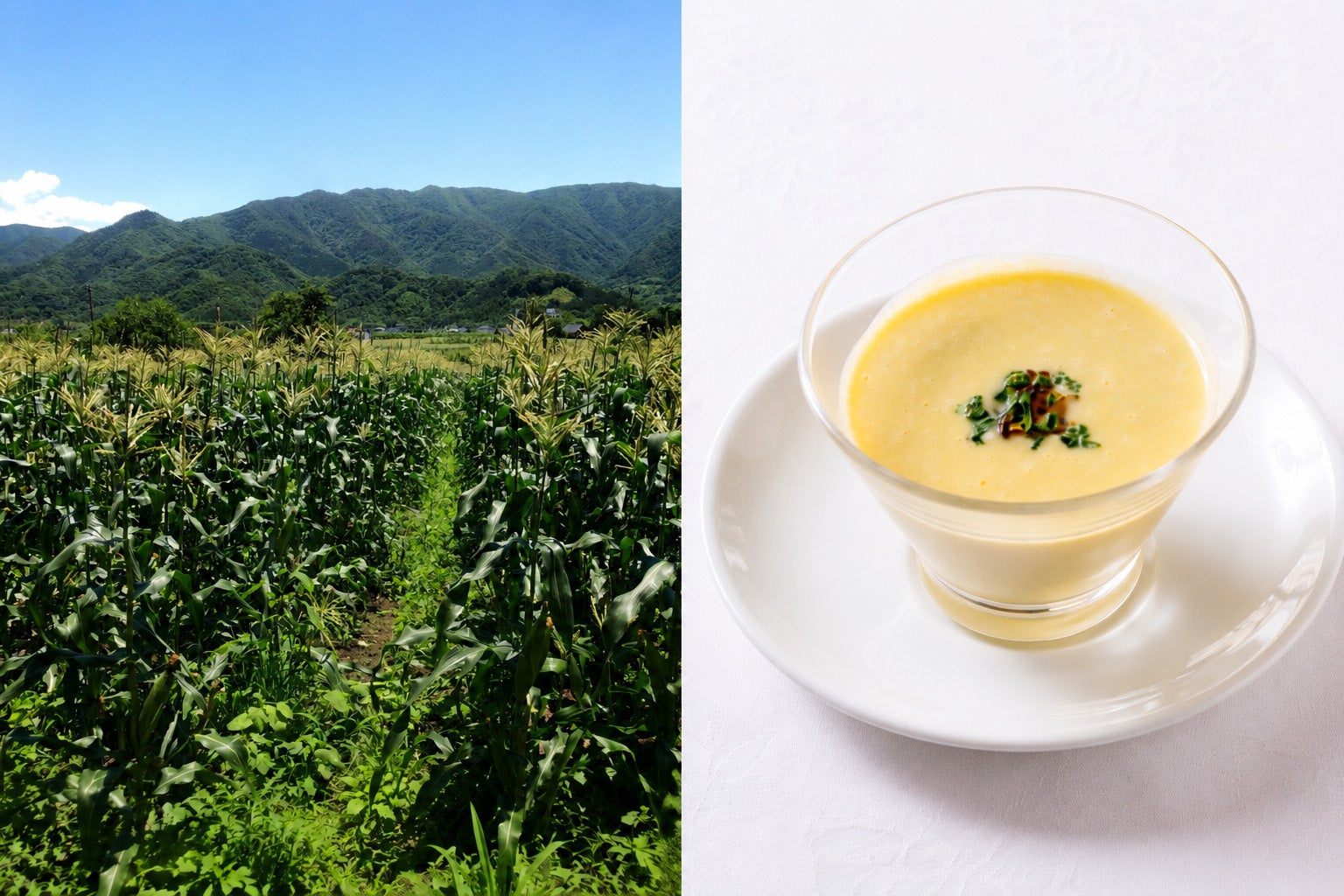 Turn Yamanashi's Seasonal Flavors into Travel Memories - Yatsugatake Hotel Fuuka Adopts Rare Corn 'Kimihime' to Enhance Yamanashi's Appeal Through Local Ingredients