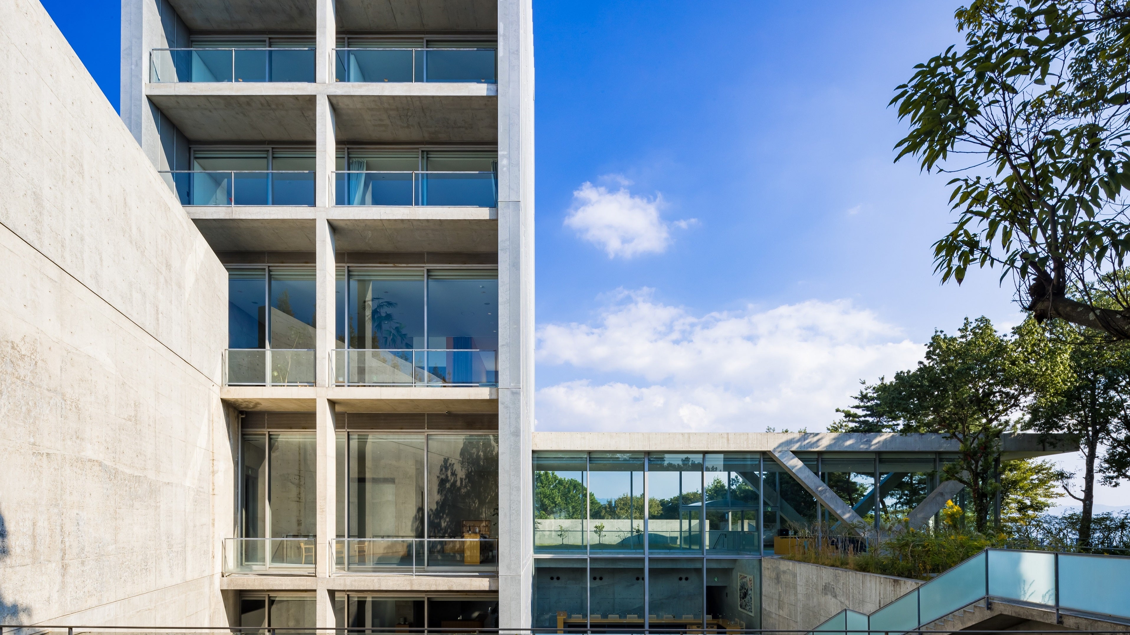 安藤忠雄建築が誇る