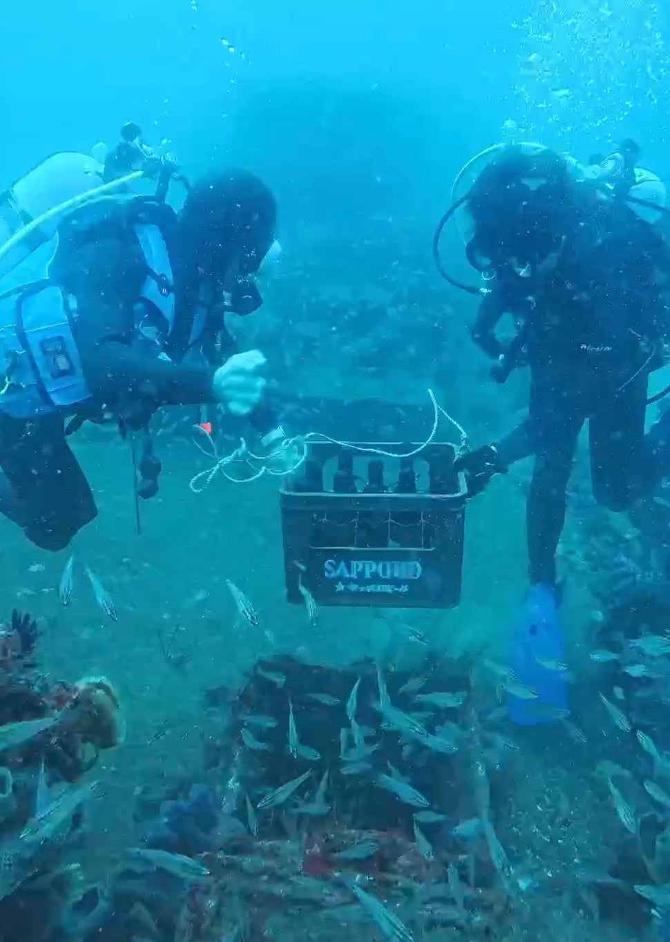 河津沖の沈没船上にワインを沈める作業の様子