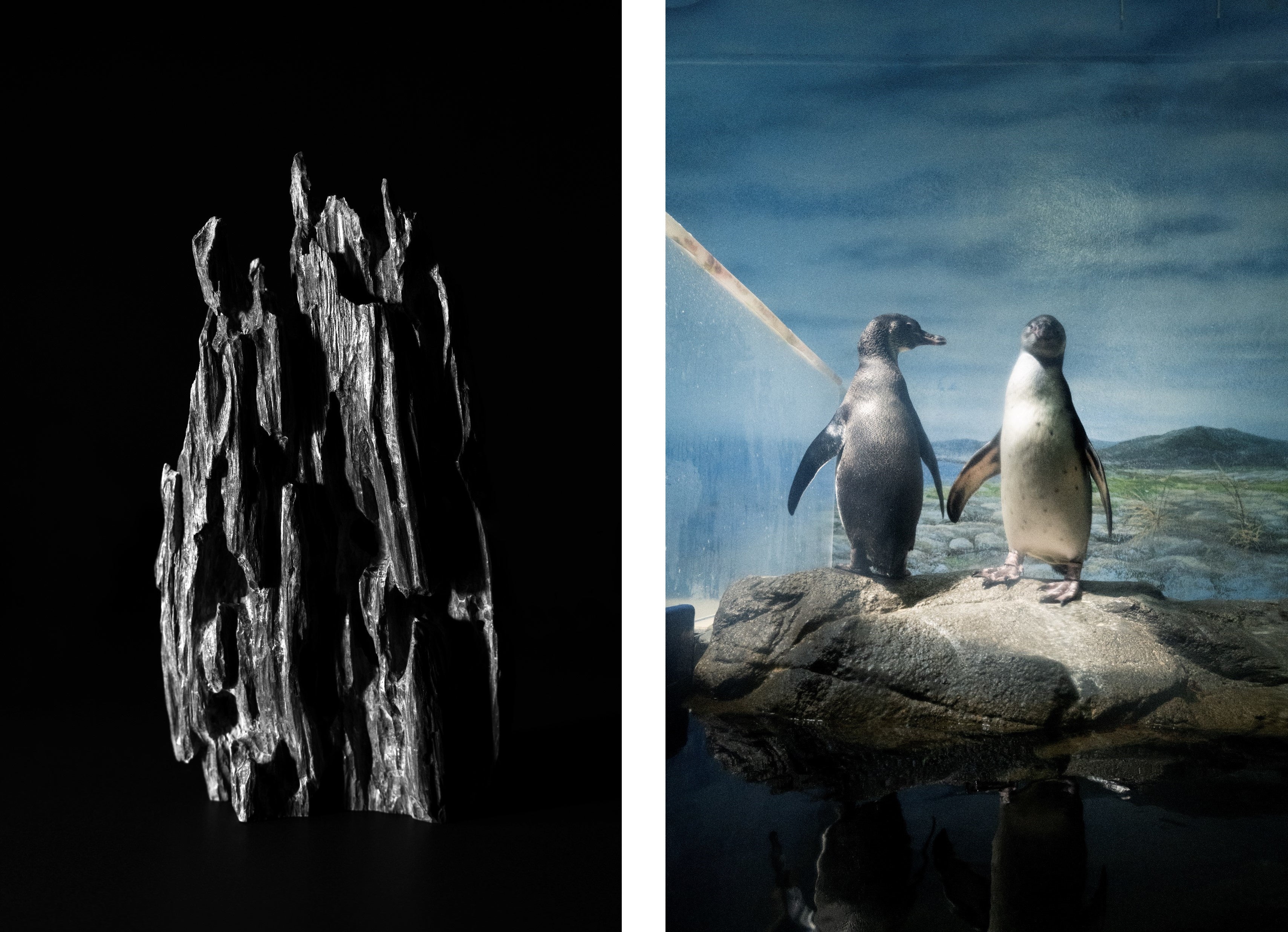 © Shin Yamagishi   © Michiko Sato