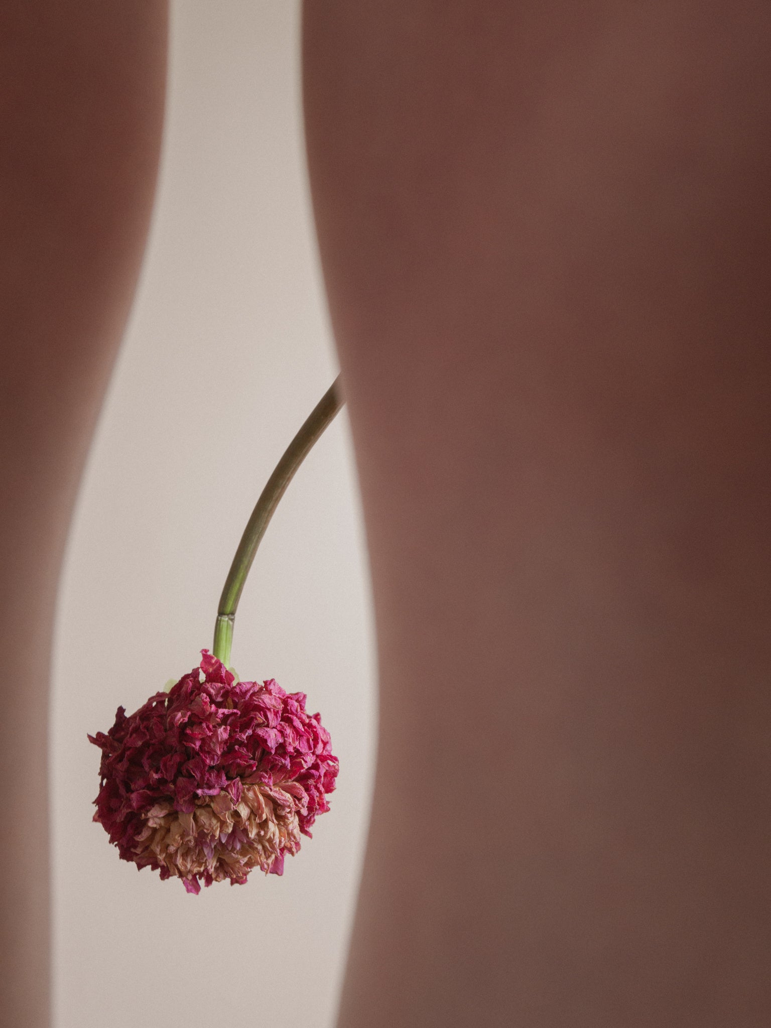 Leica Gallery Kyoto (C) Takeru Kohara