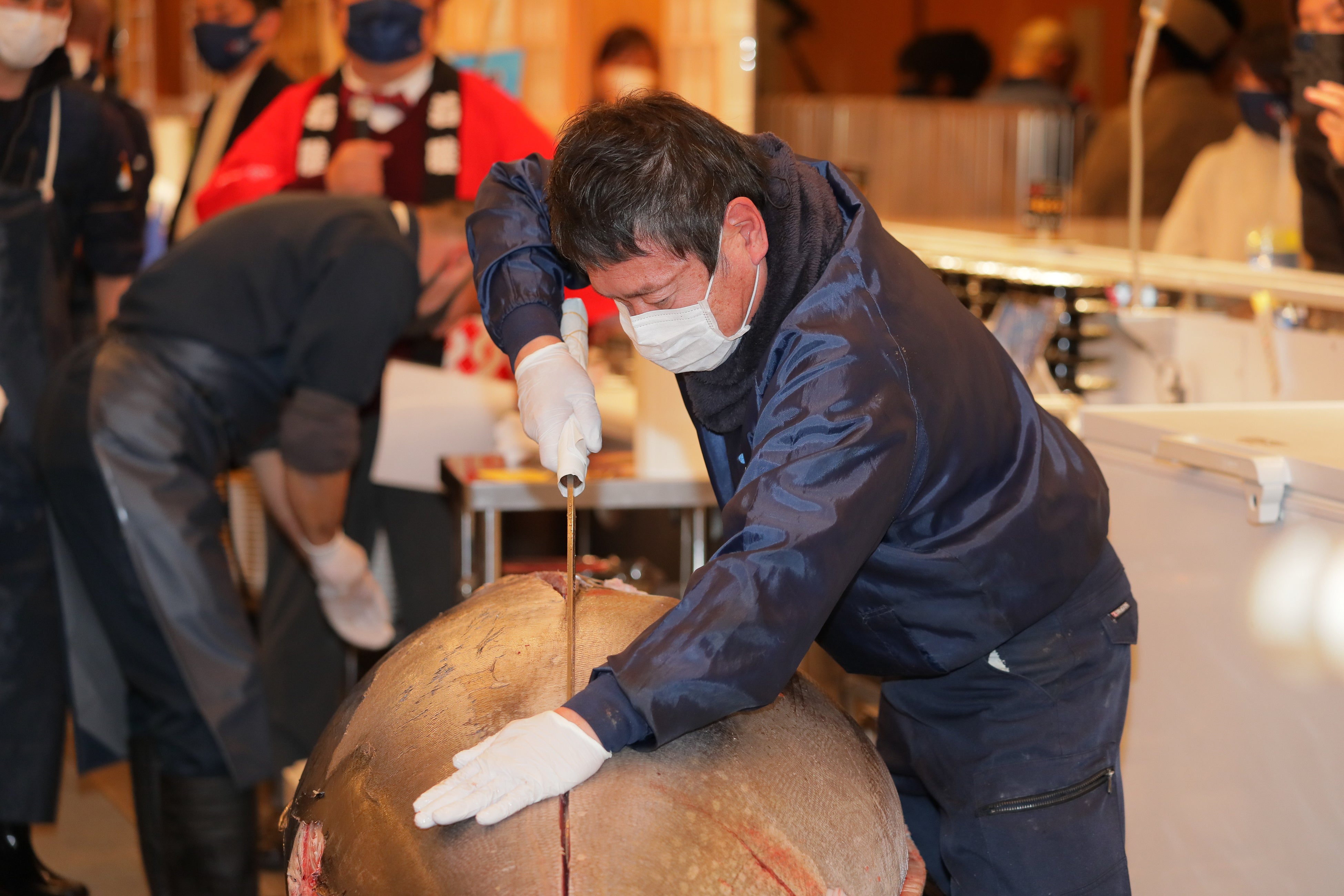 豊洲有名仲卸「やま幸」本マグロ解体ショー