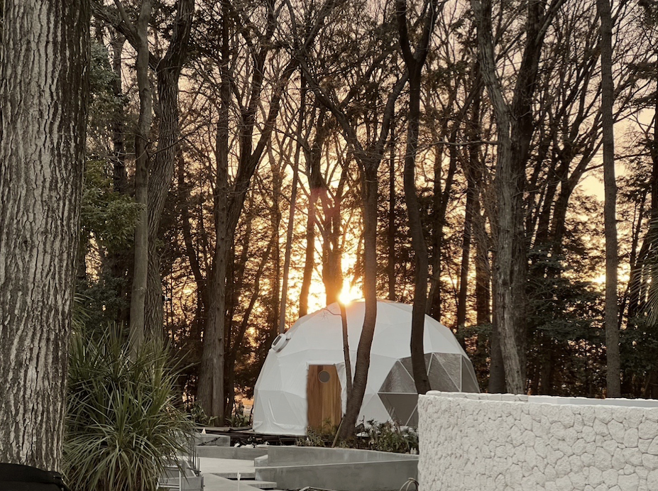 ジャングルウィズィン