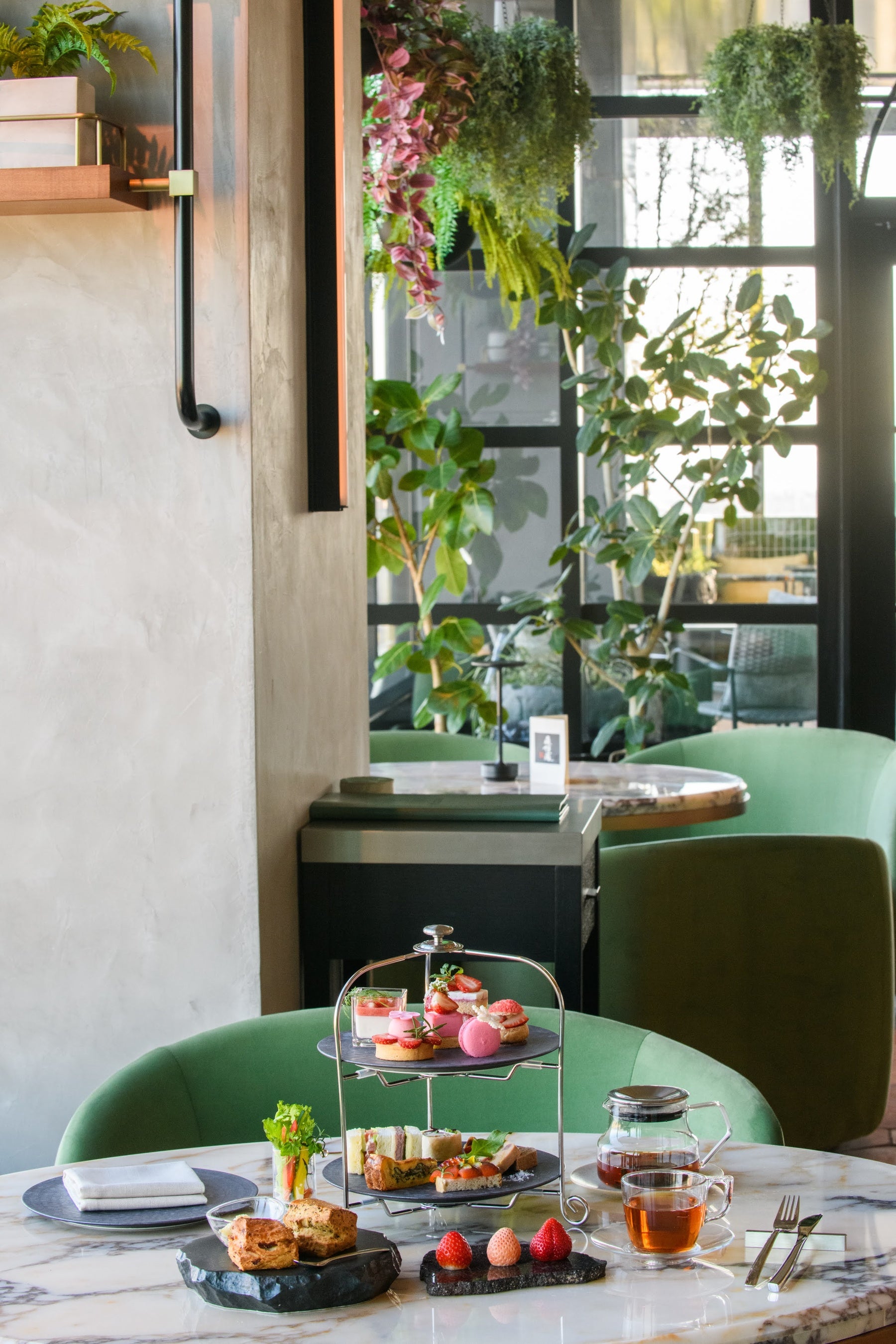 『VIVARIUMアフタヌーンティー』　イメージ