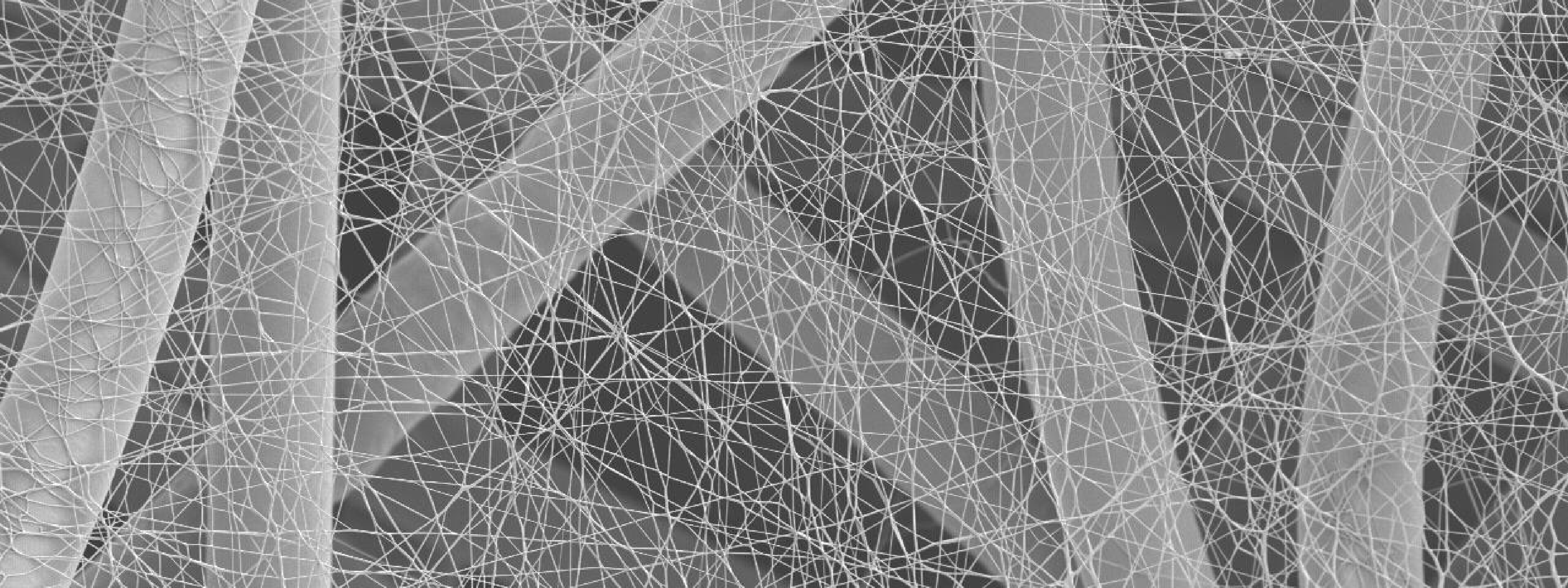 NafiaS®は直径が100nm、長さが直径の100倍以上の繊維状物質