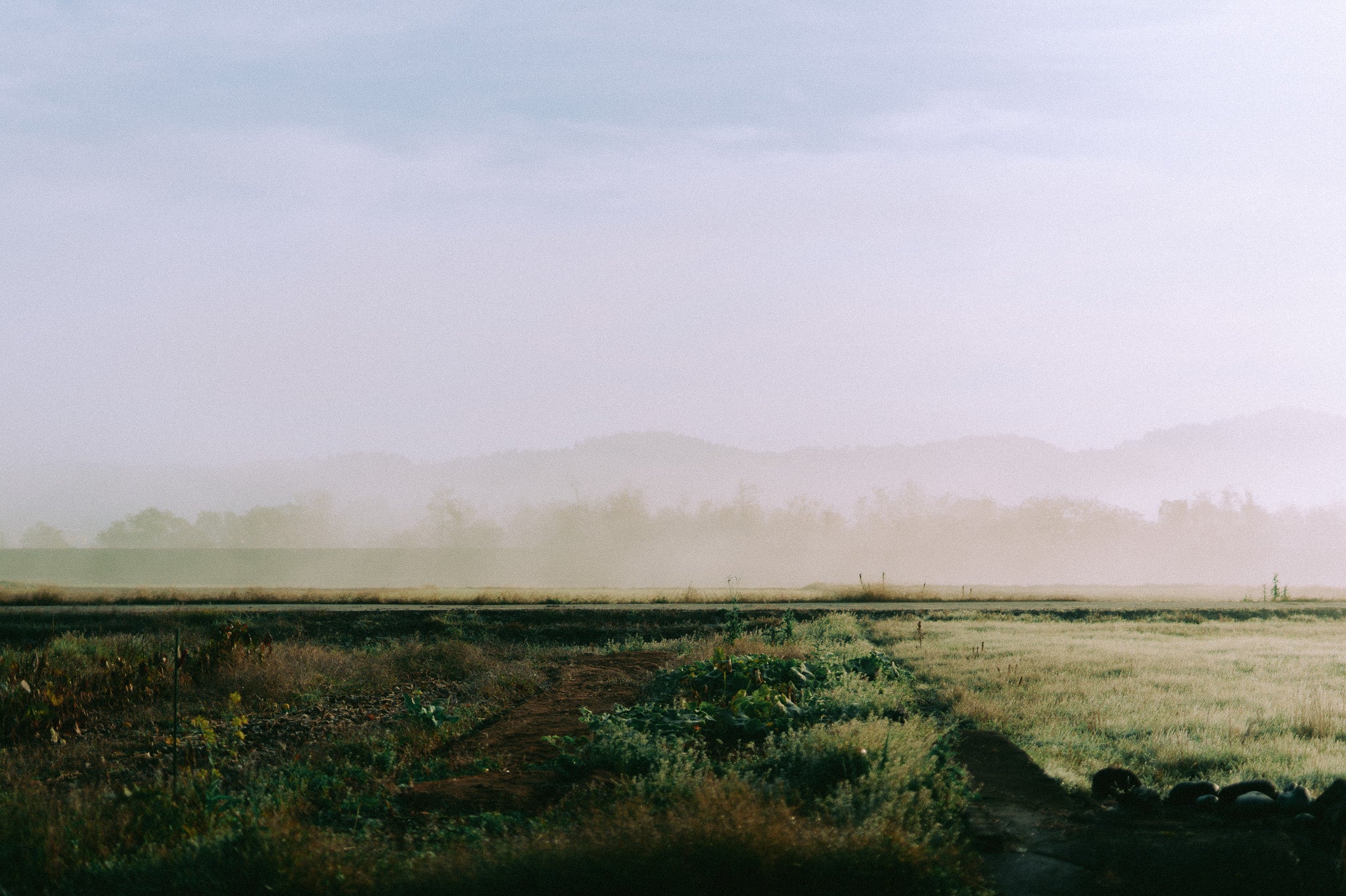 田園風景（木落集落）