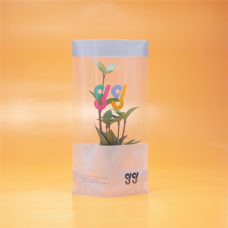 Bag Vase