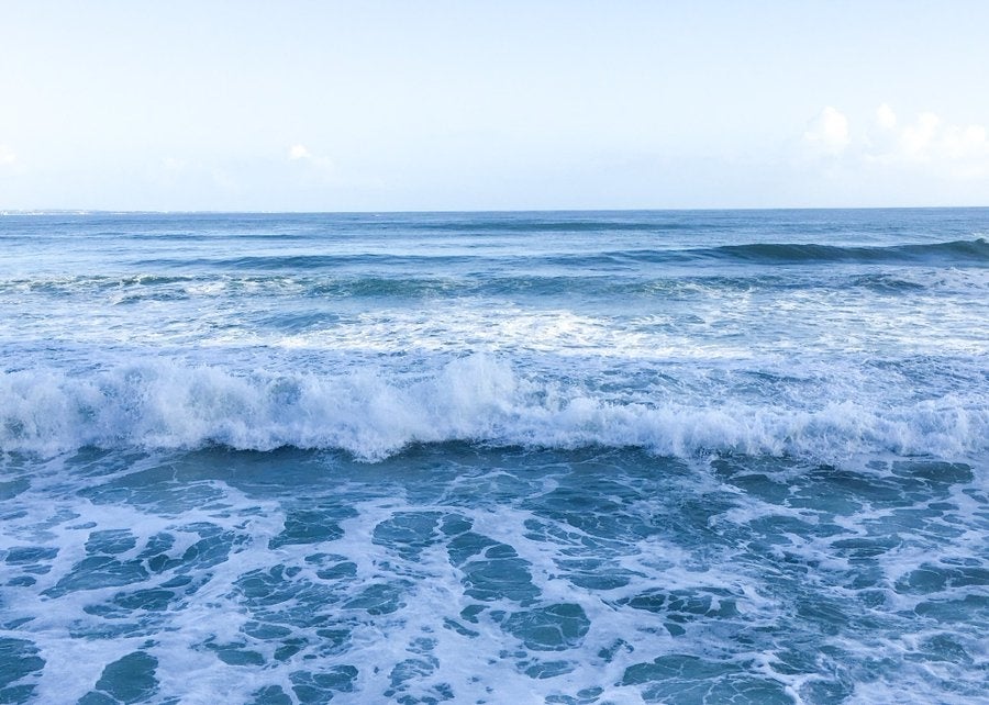 第一回新俳句フォト賞　ちーこ さん受賞作品