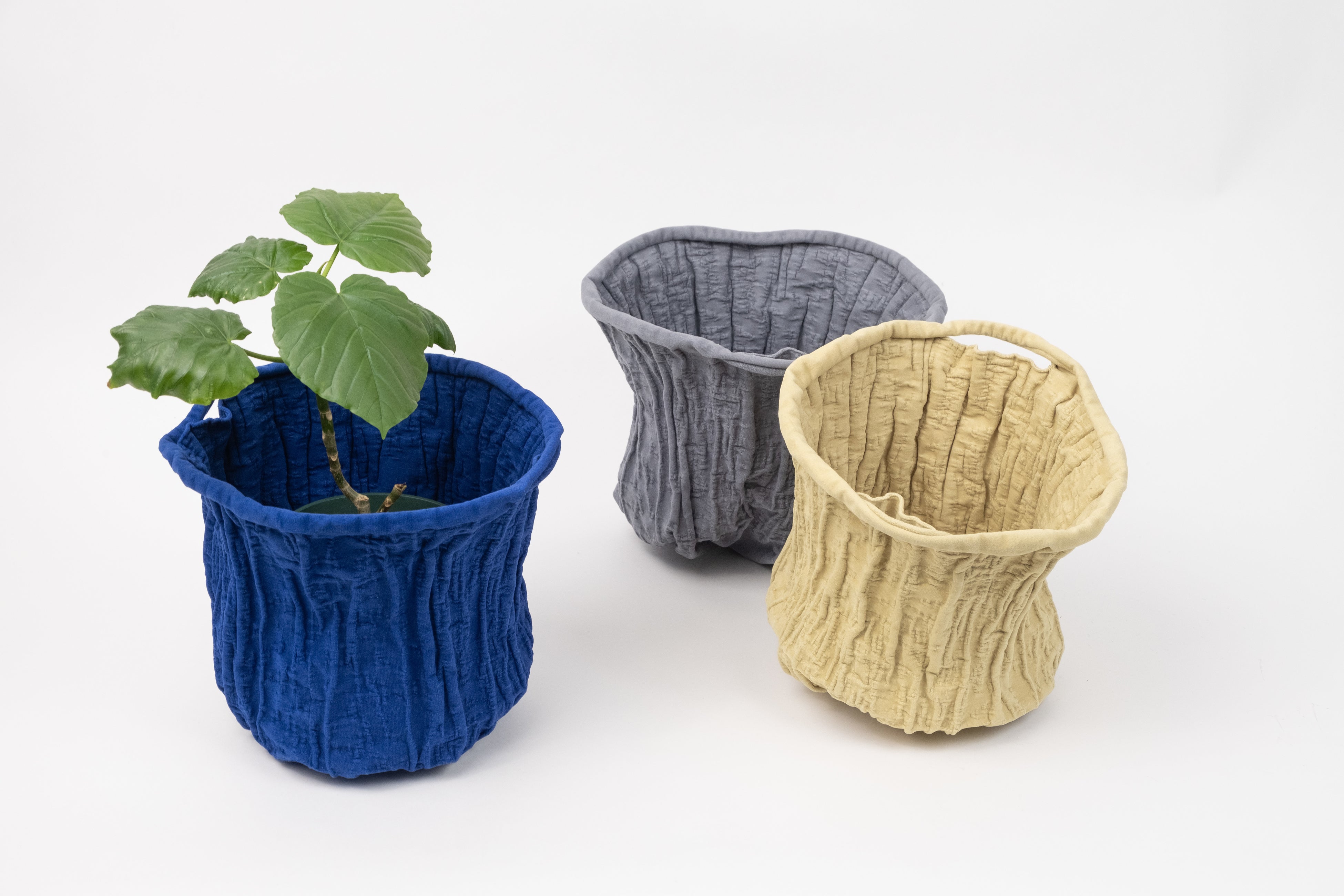 KONBU カヌレ（3,850円）