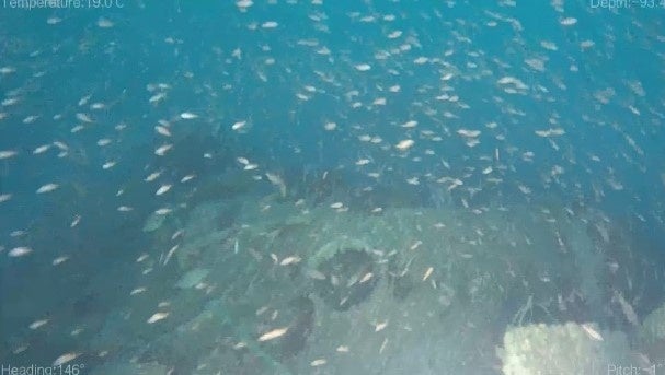 ドローンでの画像