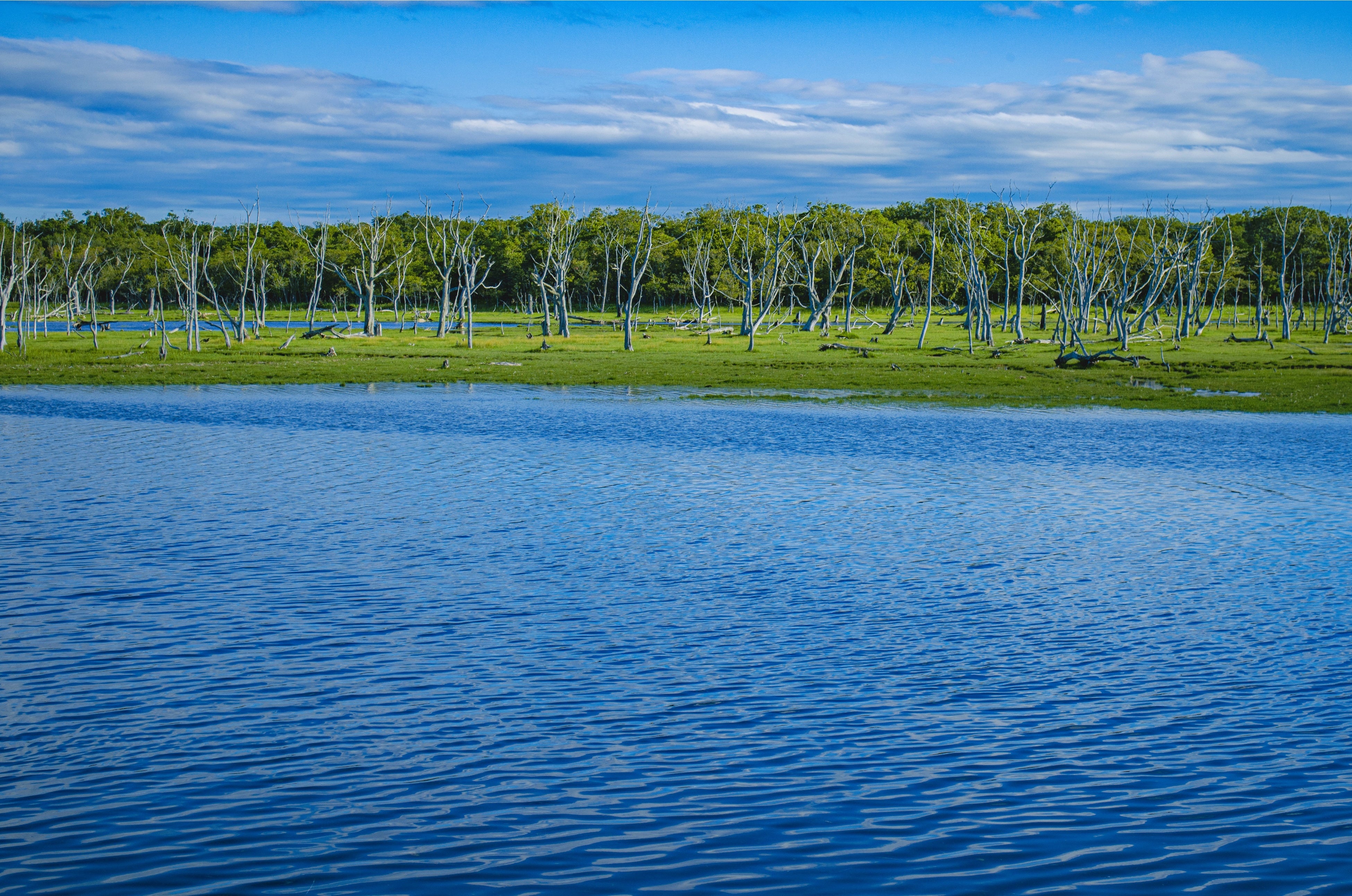標津町の豊かな自然