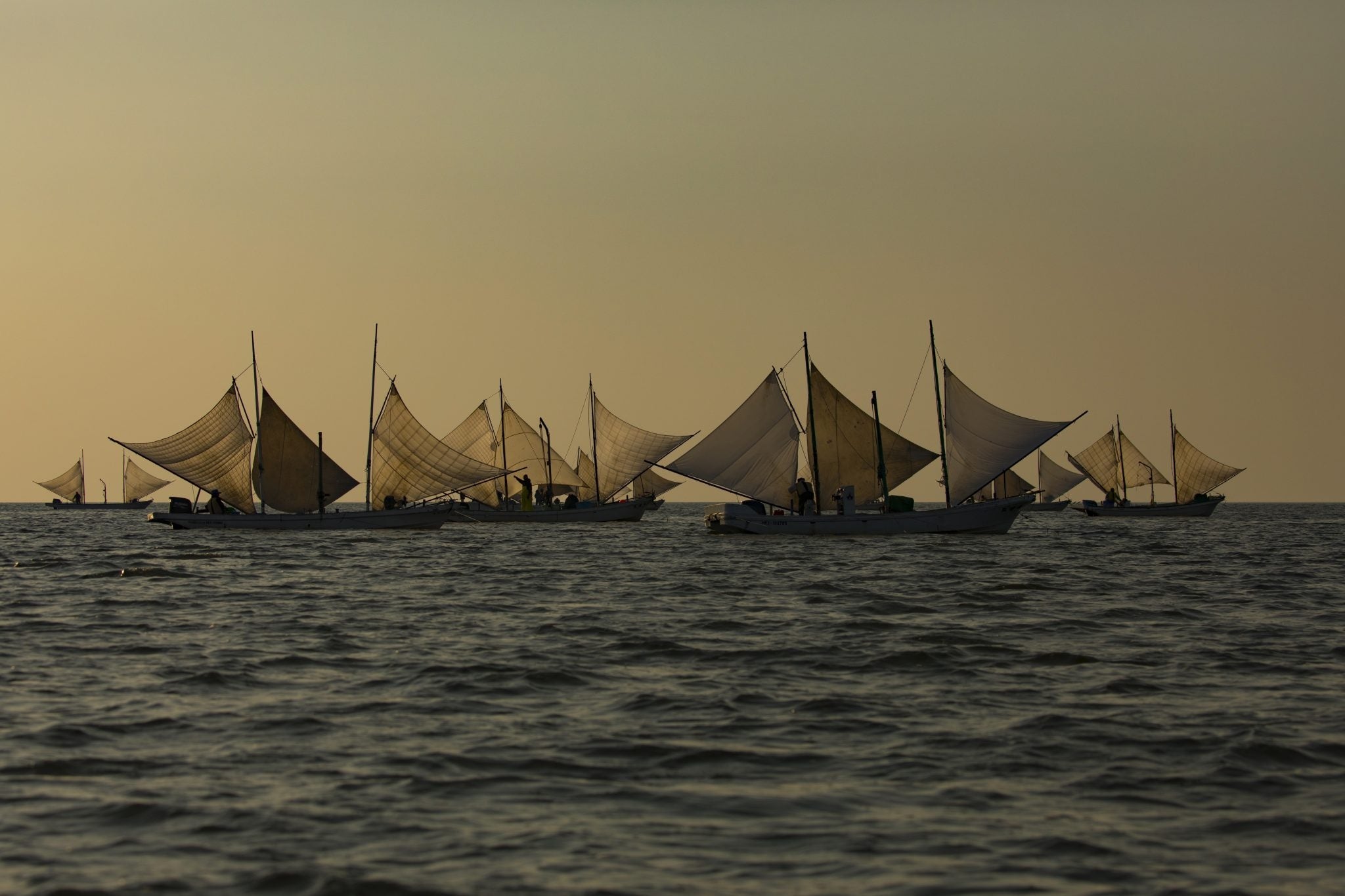 伝統の打瀬舟漁