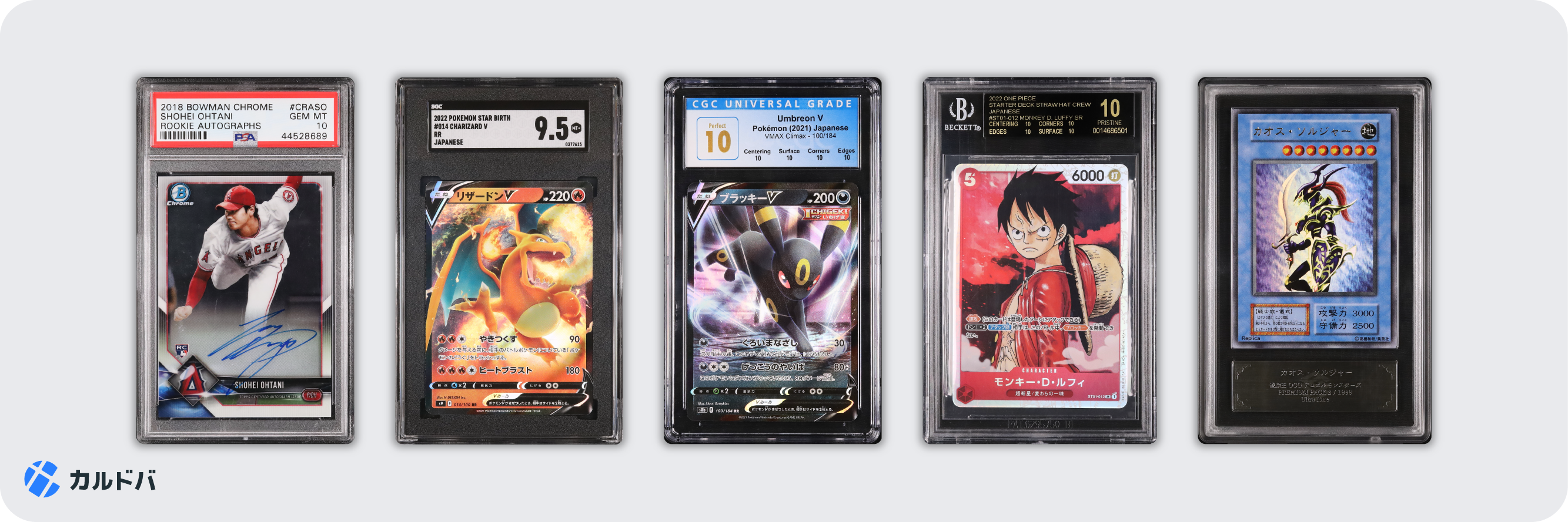 価値が高まり続ける「トレーディングカード」を「金庫（ヴォルト）」に