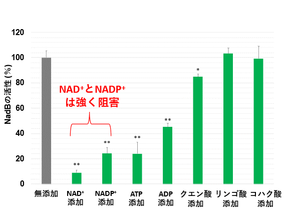 図3. さまざまな代謝産物存在下でのシネコシスティスのNadBの活性