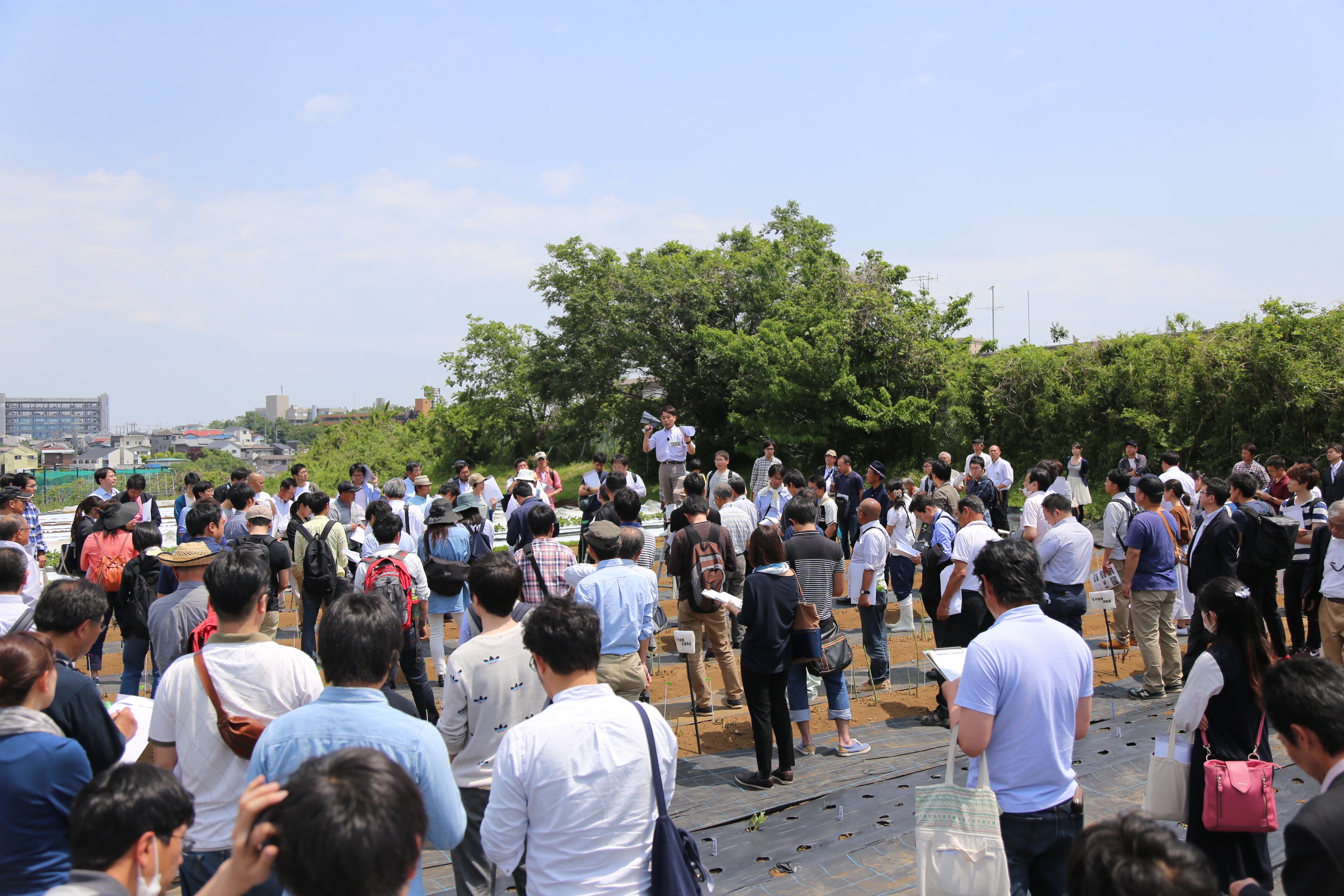 2016年開催時のアスパラガス「採りっきり栽培」発表会