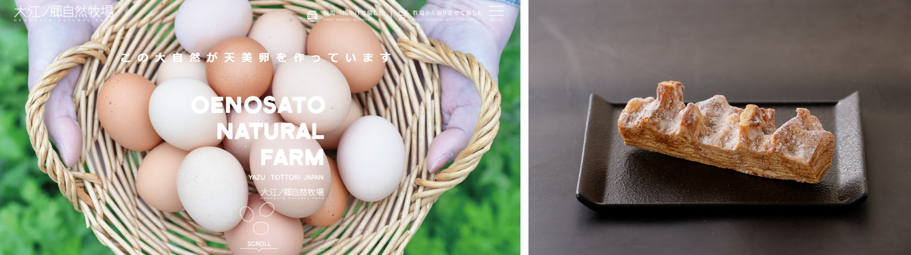 H&M、大江ノ郷自然牧場の「八頭ばうむ木魂」を当日メンバー限定に先着でプレゼント