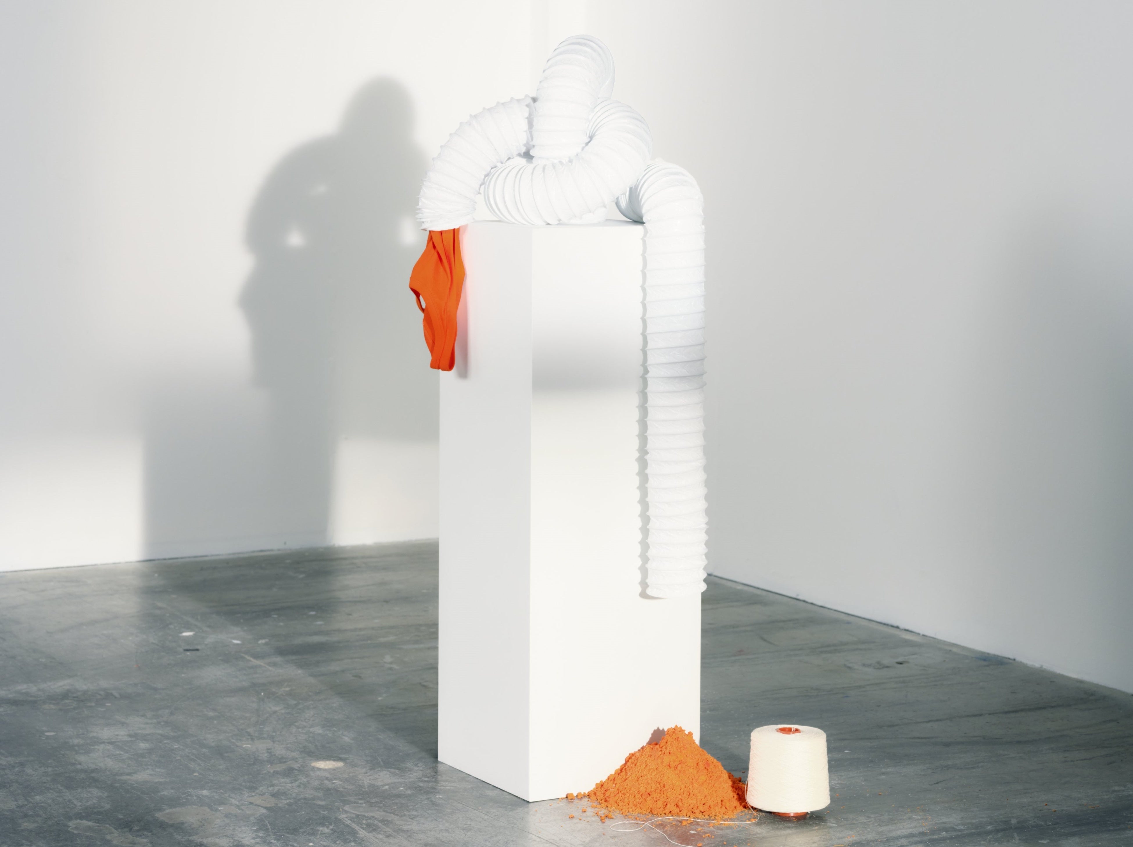 DyeRecycle（イギリス）