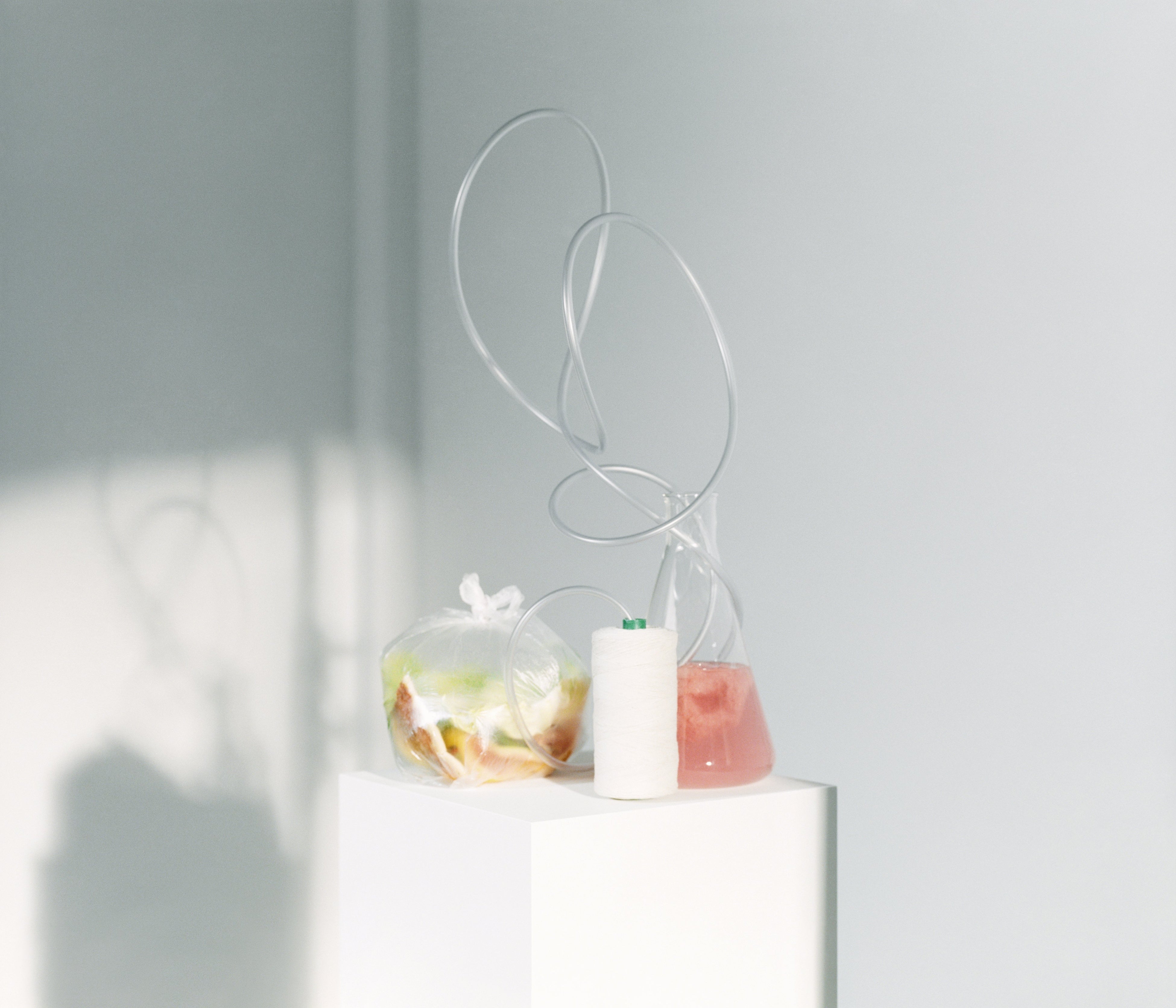 ALT TEX（カナダ）