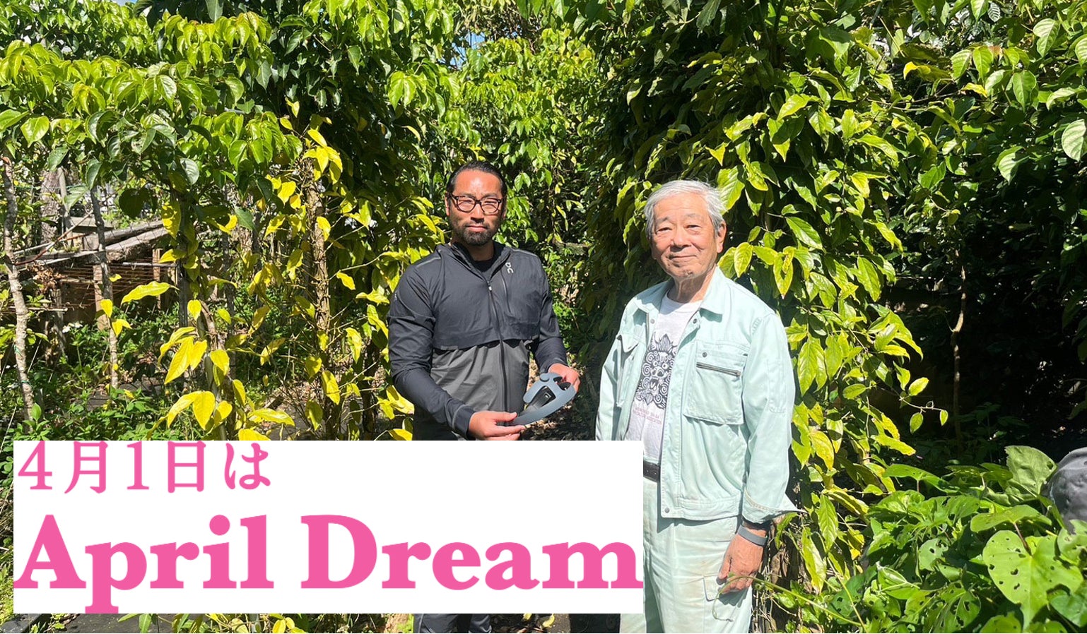 「ピィパーズ」で集中力トレーニング!認知症予防効果も期待できる! 「ピィパーズ」で集中力トレーニング!認知症予防効果も期待できる!