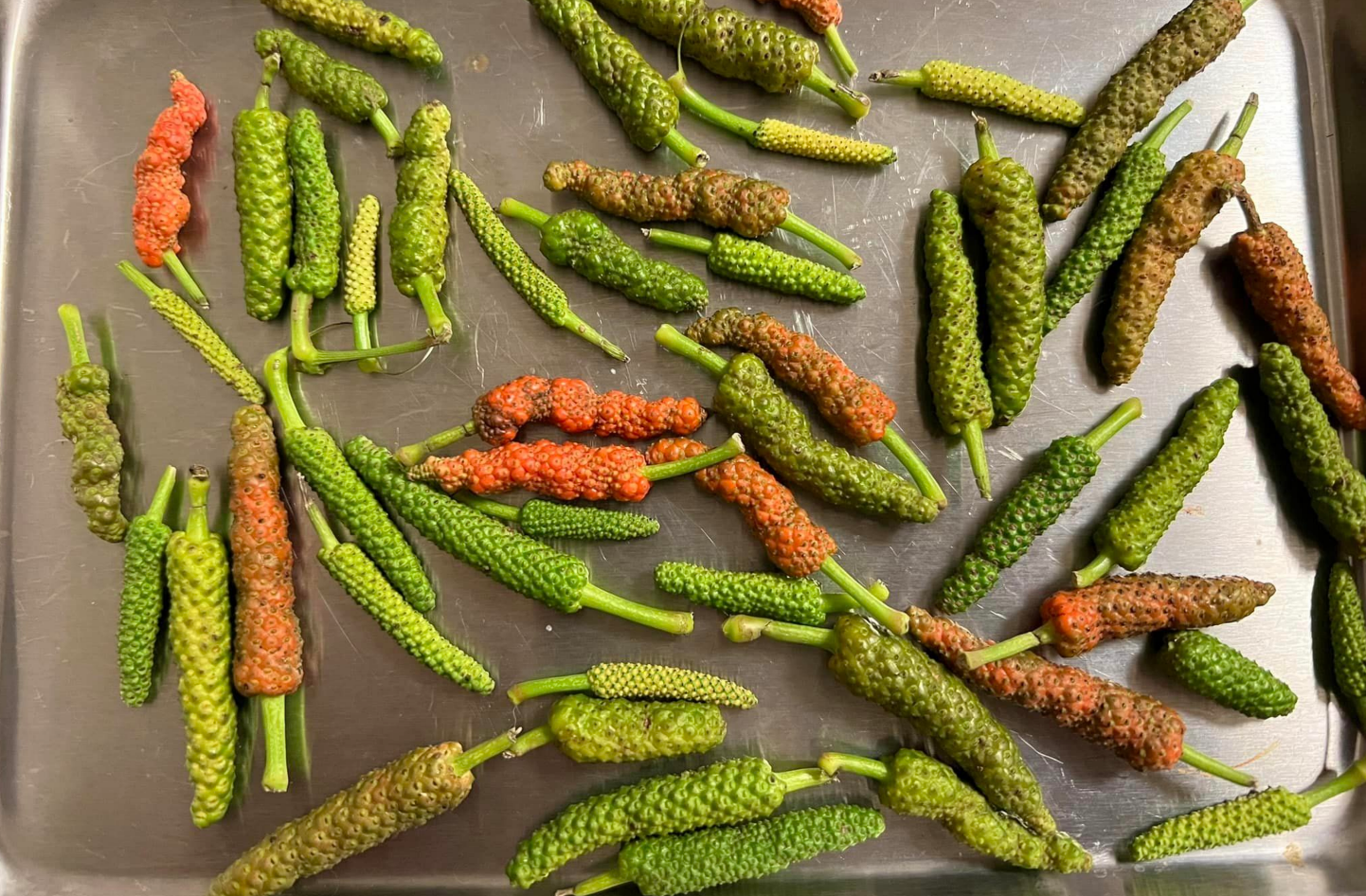 沖縄県産ピィパーズの実