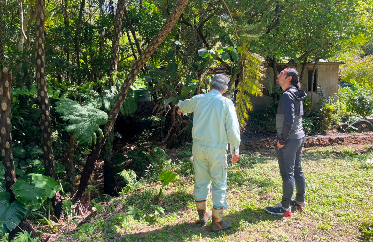 ピィパーズ農業体験集中力トレーニング