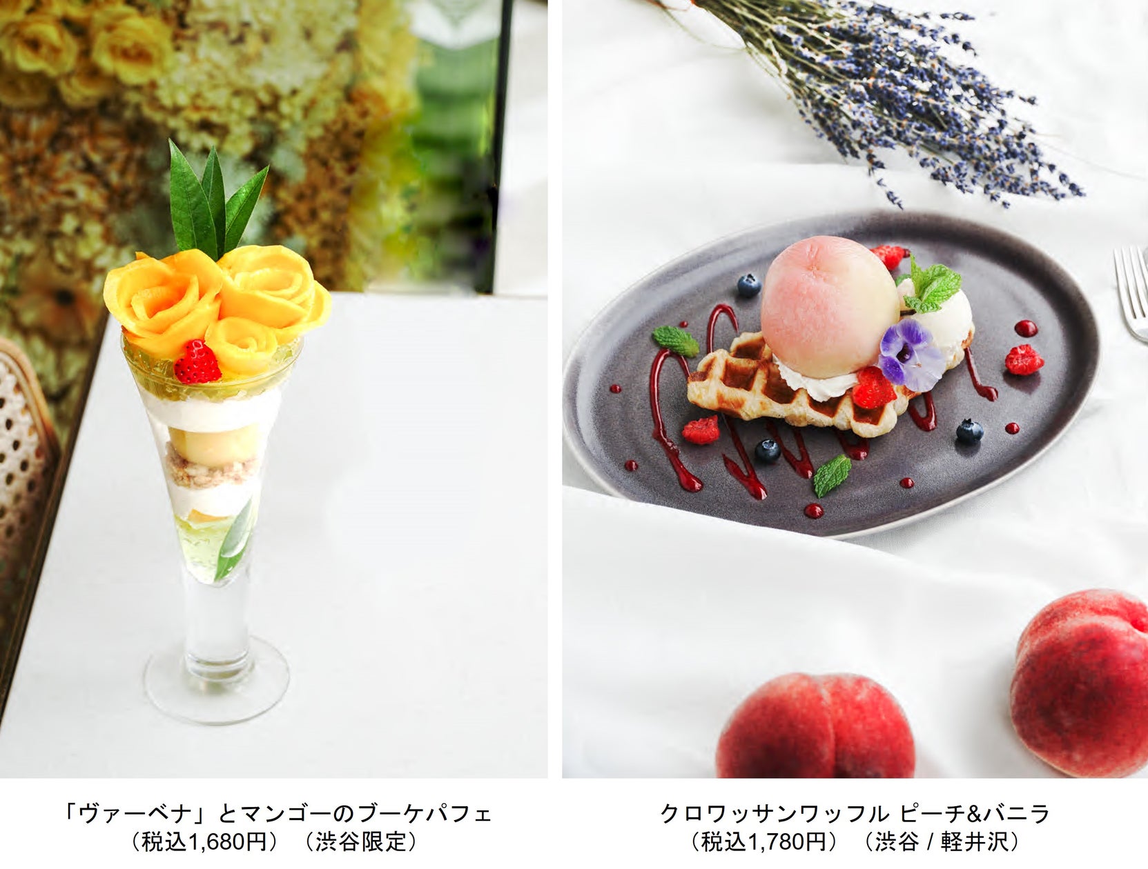 旬のマンゴーや桃を使った限定デザートなど。夏メニューがロクシタンカフェに新登場! | ロクシタンジャポン株式会社のプレスリリース